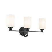 Gioe 24" 3-Light Bath Vanity Light, Black Finish Etched Glass