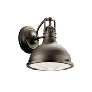 Hatteras Bay 10" Outdoor Wall Light, Olde Bronze Finish