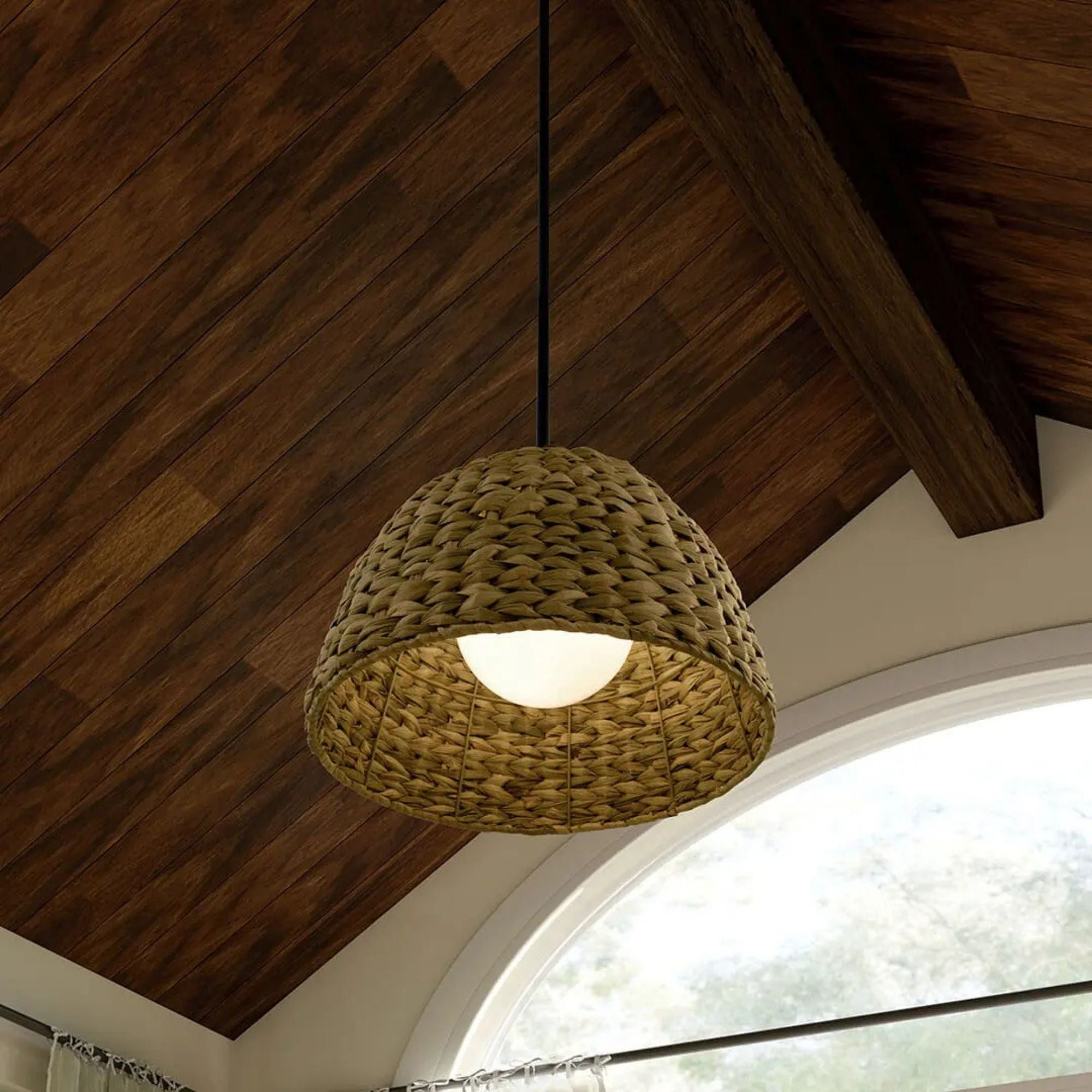 Raffiana 18" Mini Pendant, Black Finish