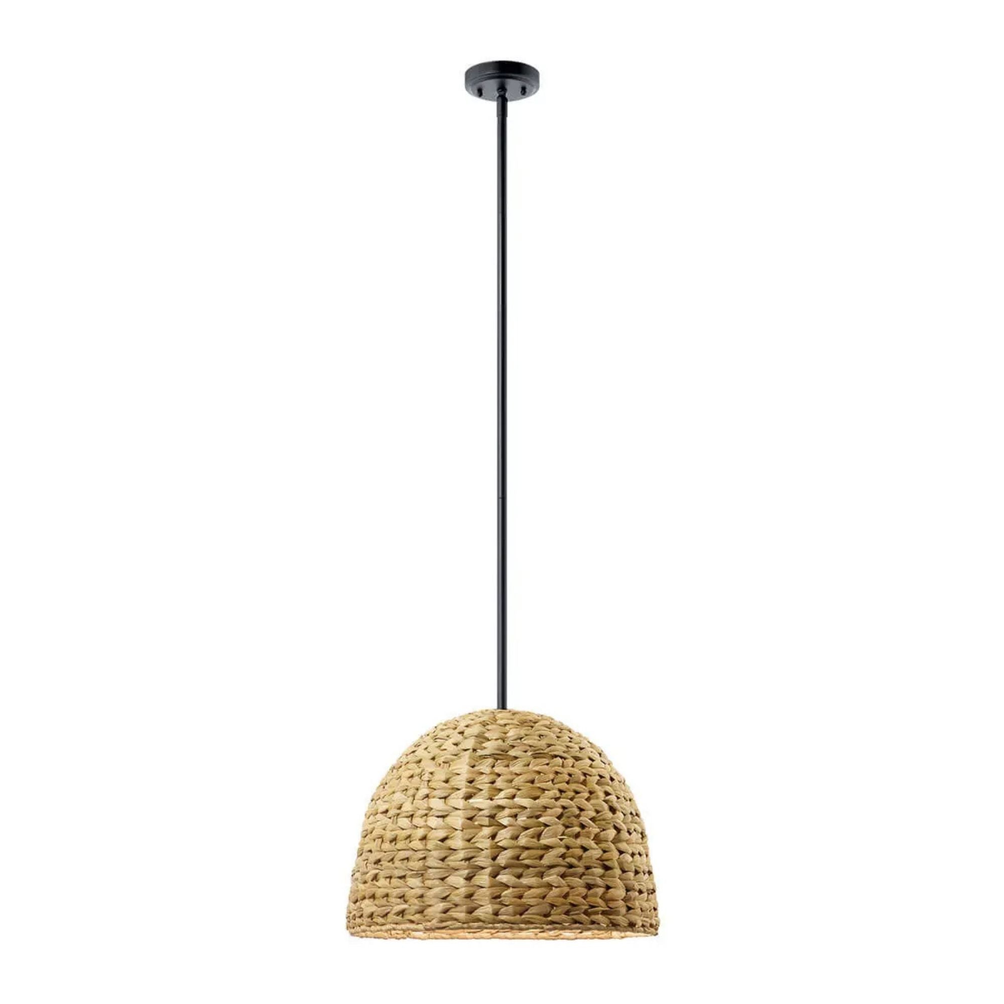 Raffiana 18" Mini Pendant, Black Finish