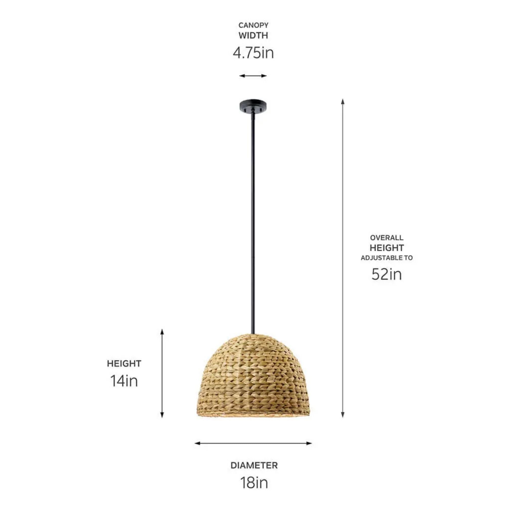 Raffiana 18" Mini Pendant, Black Finish