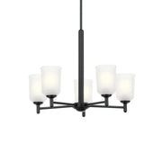 Shailene 24" 5-Light Chandelier, Black Finish, Etched Glass