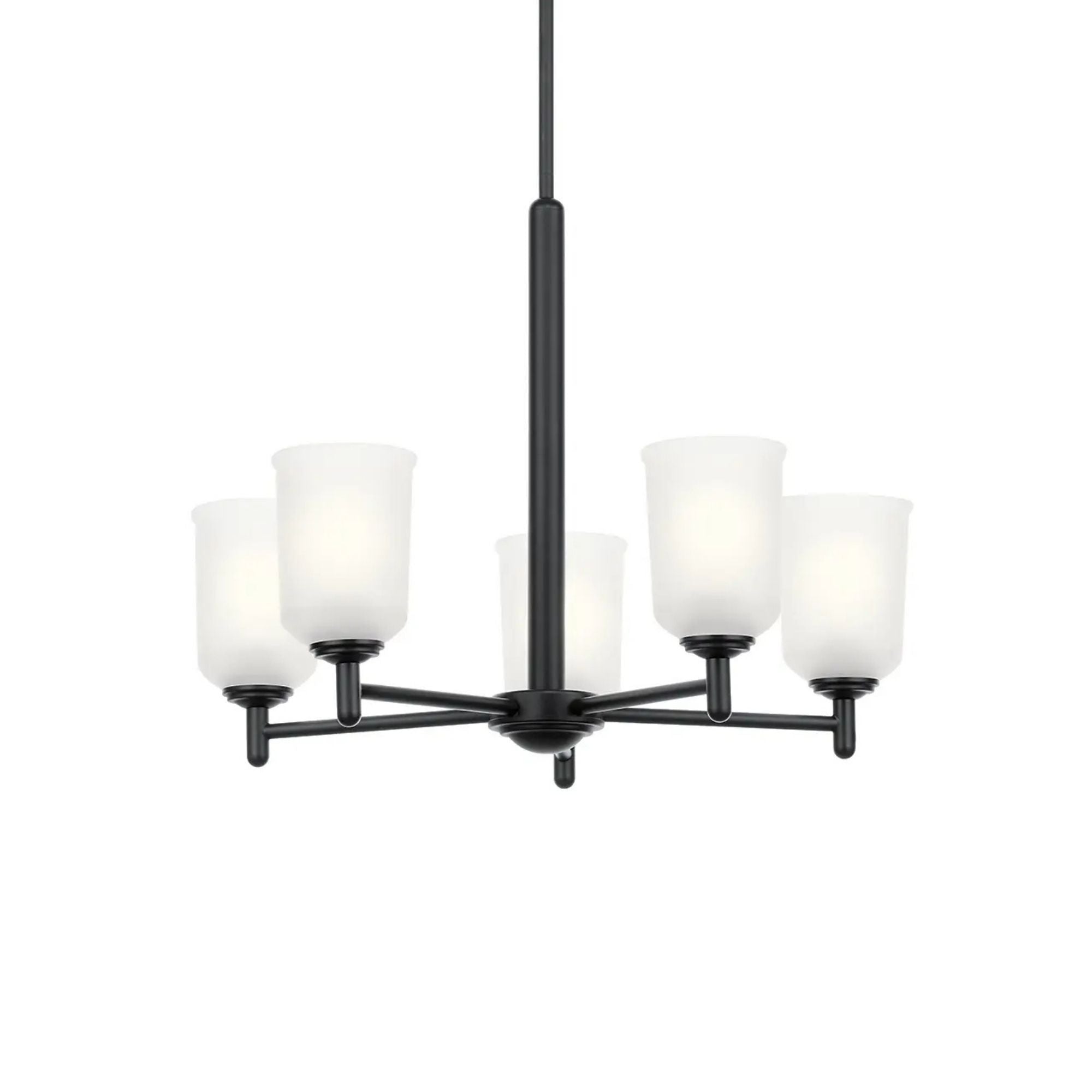 Shailene 24" 5-Light Chandelier, Black Finish, Etched Glass