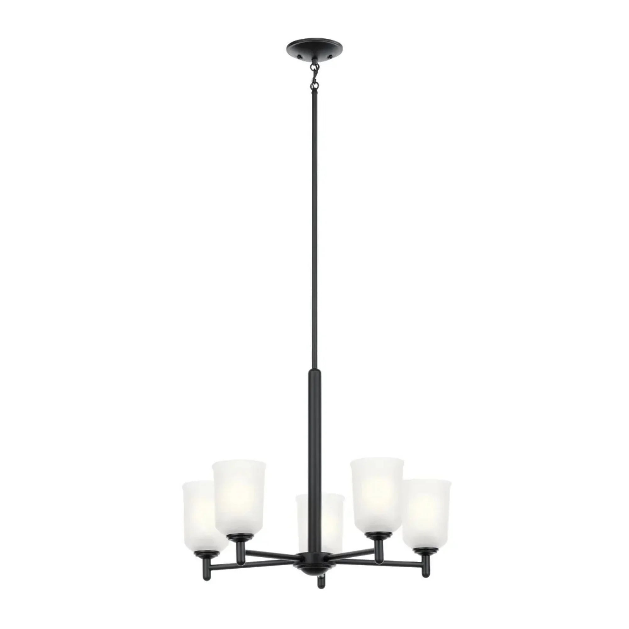Shailene 24" 5-Light Chandelier, Black Finish, Etched Glass
