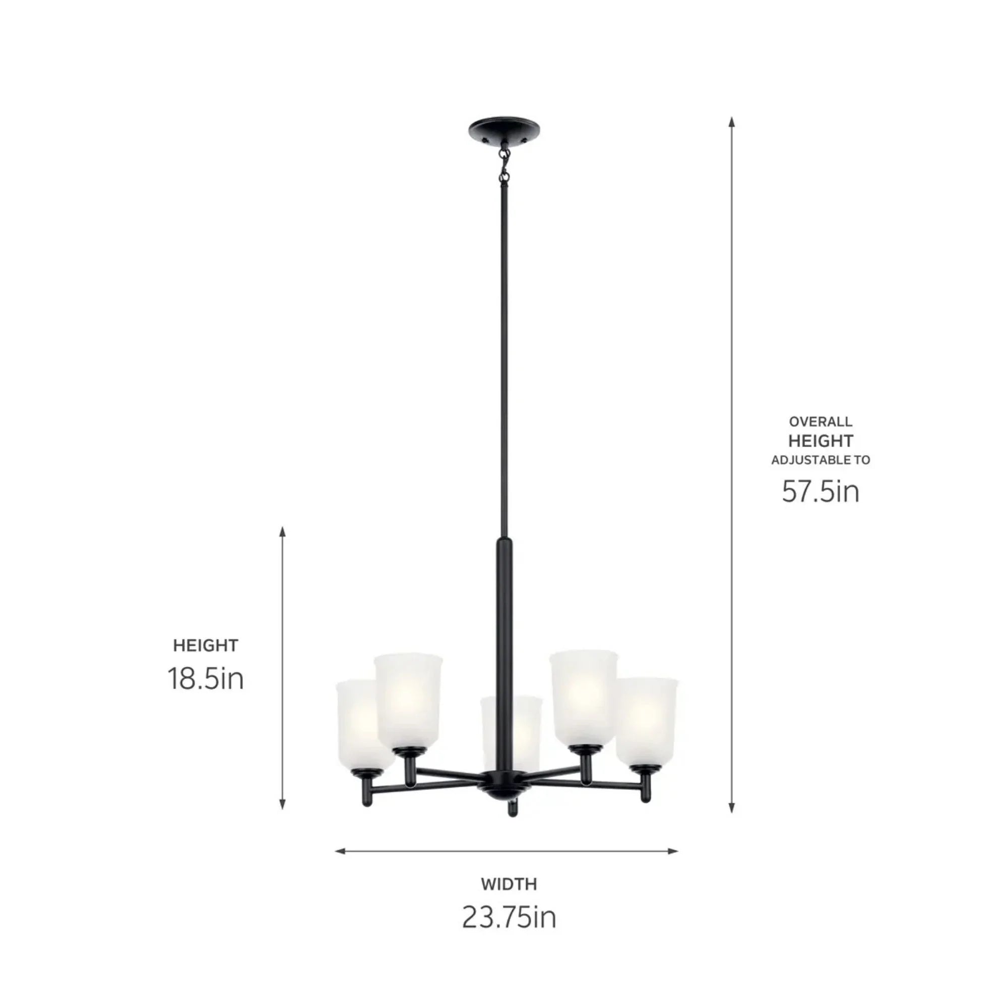 Shailene 24" 5-Light Chandelier, Black Finish, Etched Glass