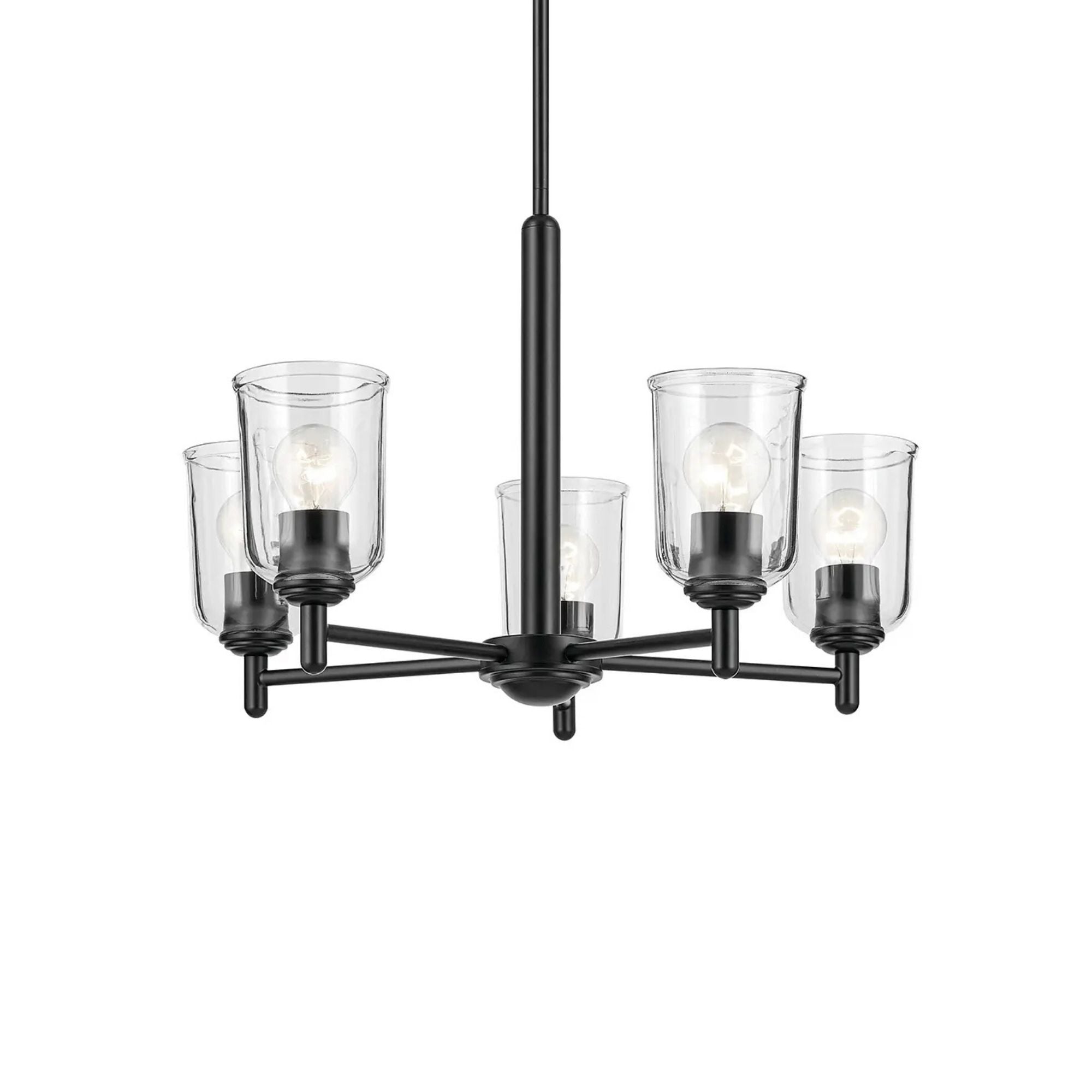 Shailene 24" 5-Light Chandelier, Black Finish, Clear Glass