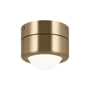 Tibbi 6" LED Flush Mount, Champagne Bronze Finish