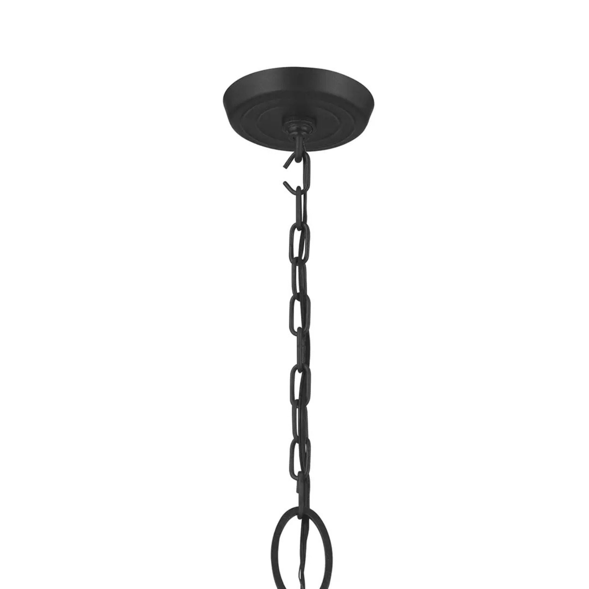 Topiary 28.25 in. 6-Light Chandelier, Textured Black