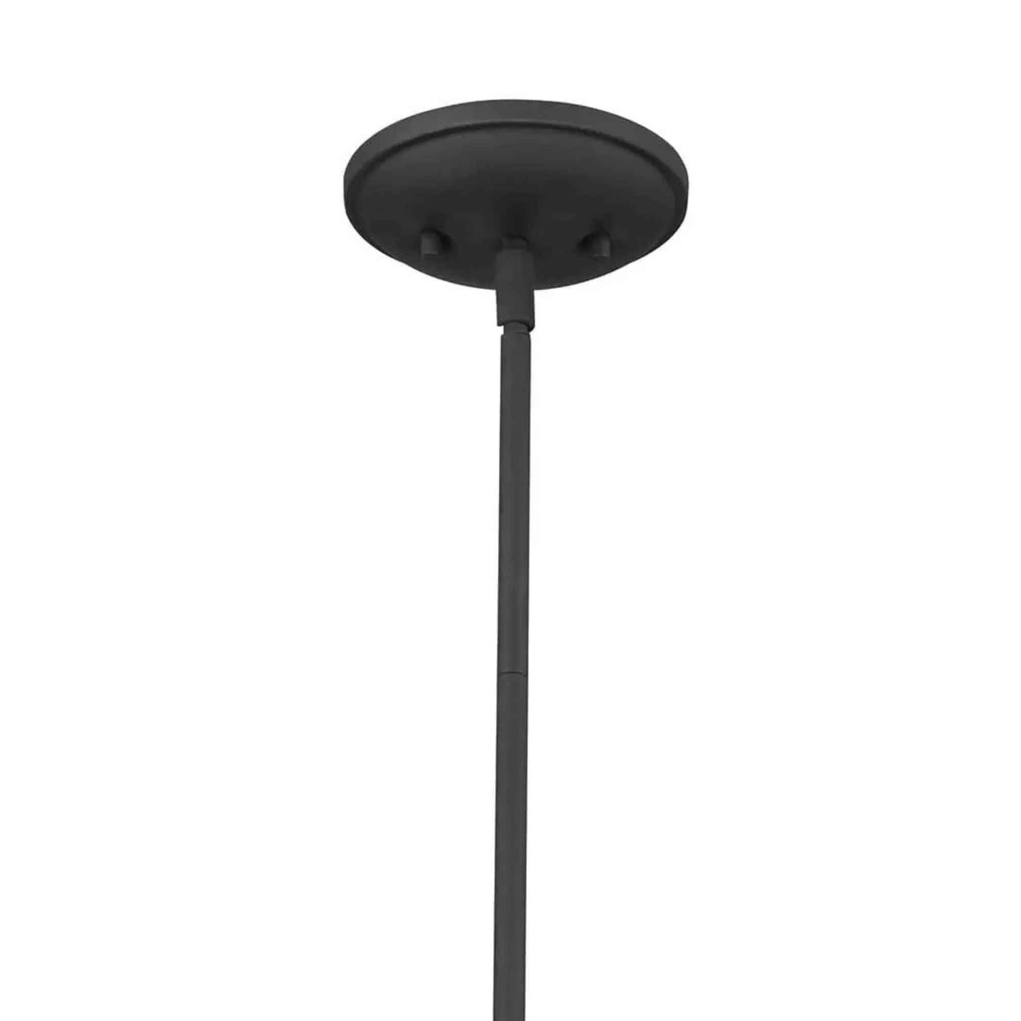 Topiary 18 in. Pendant Light, Textured Black