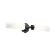 Truby 20.75 in. 2-Light Bathroom Vanity Light, Black