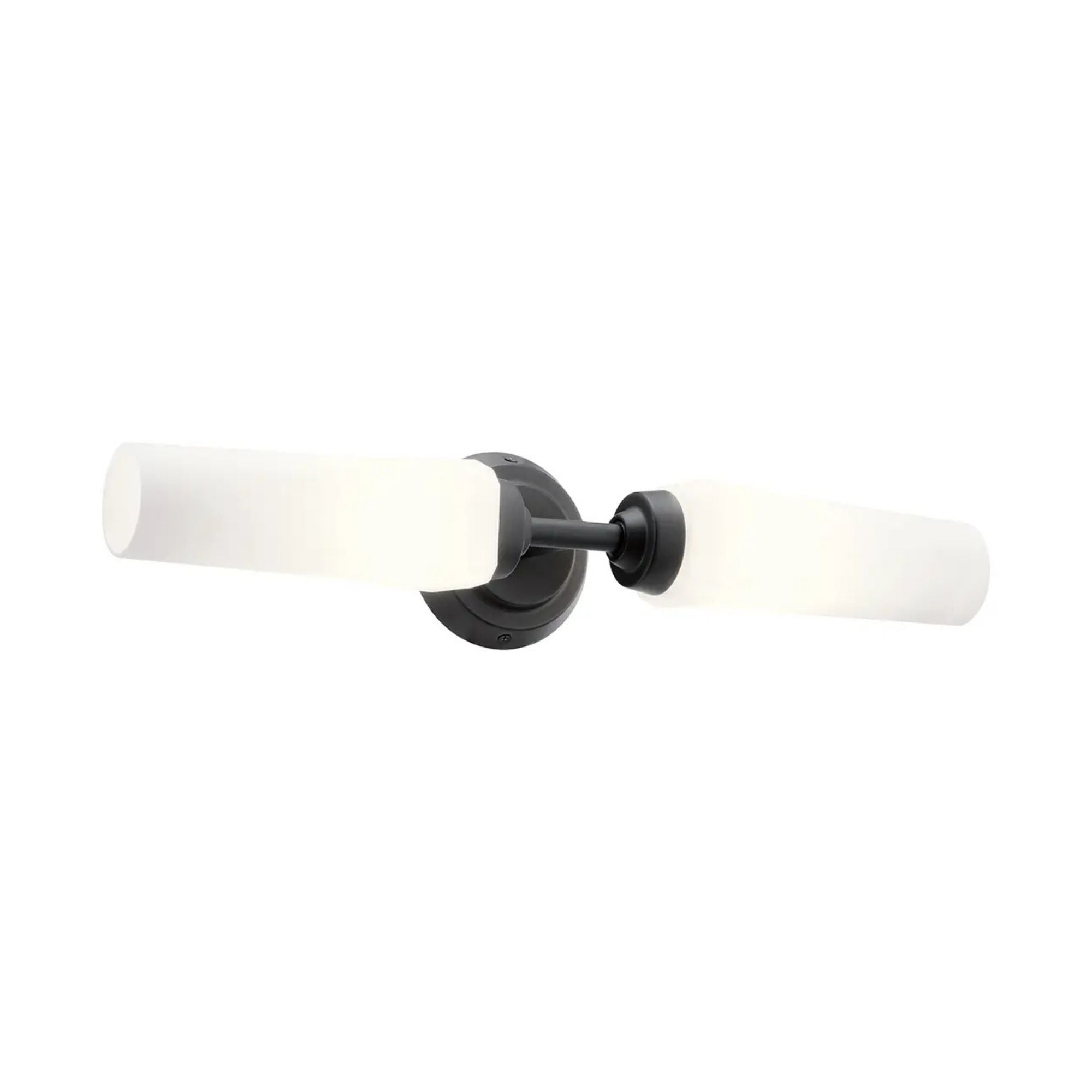 Truby 20.75 in. 2-Light Bathroom Vanity Light, Black