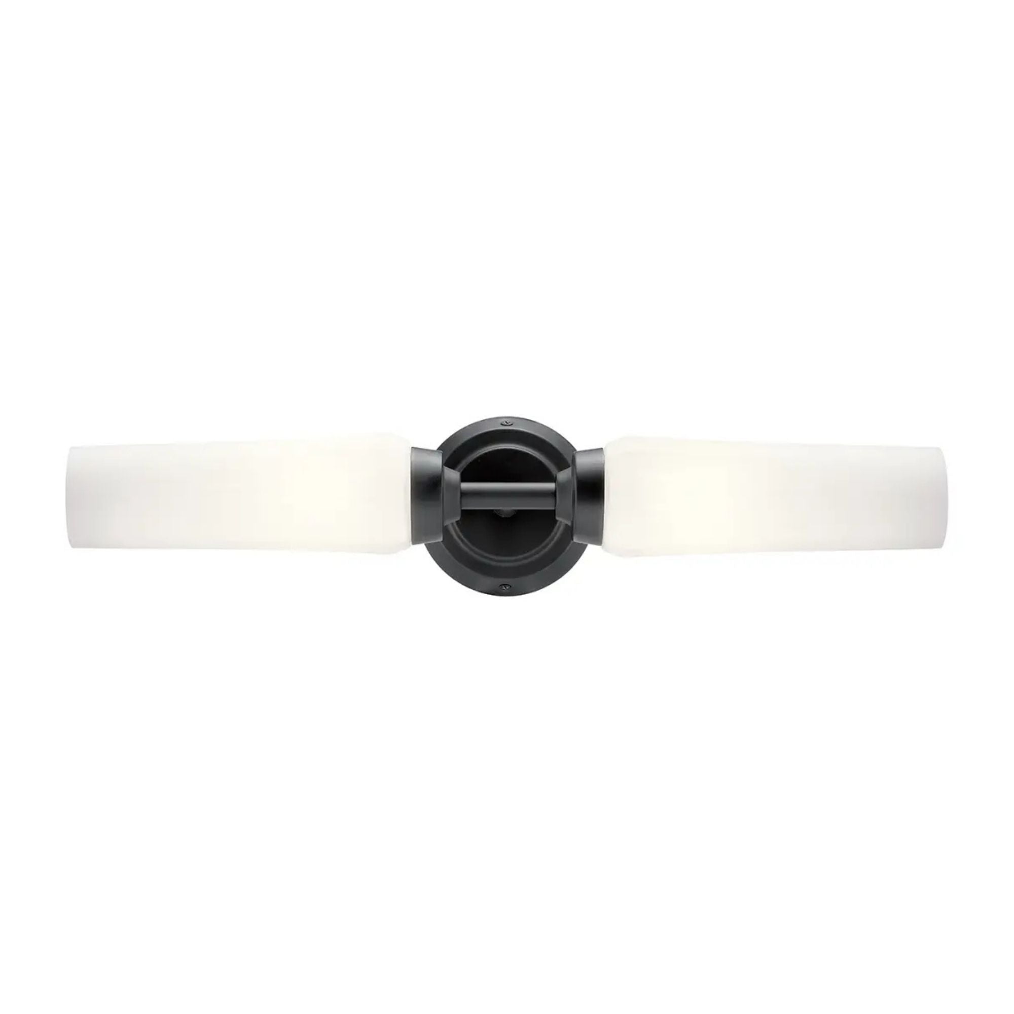 Truby 20.75 in. 2-Light Bathroom Vanity Light, Black