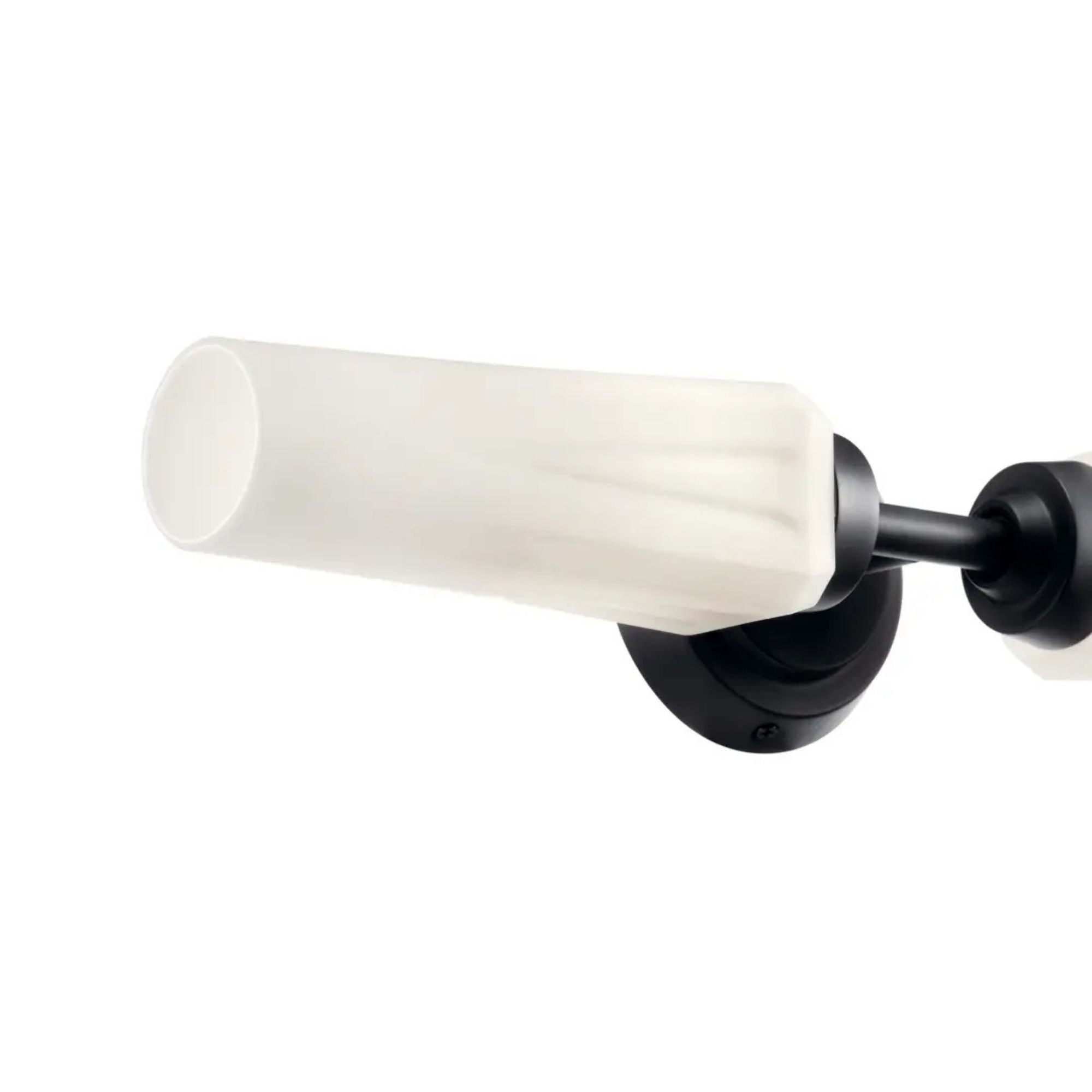 Truby 20.75 in. 2-Light Bathroom Vanity Light, Black