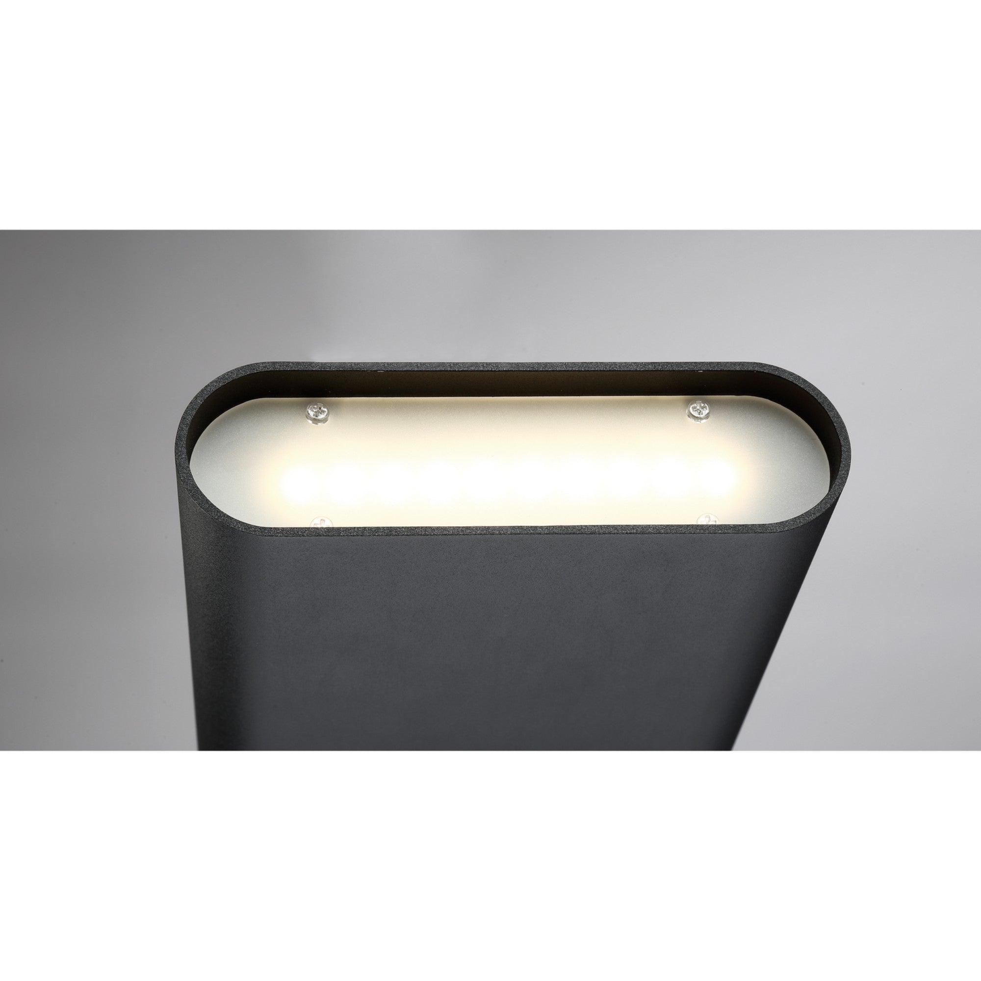 Lux 8" LED Wall Sconce, Black Finish - Bees Lighting