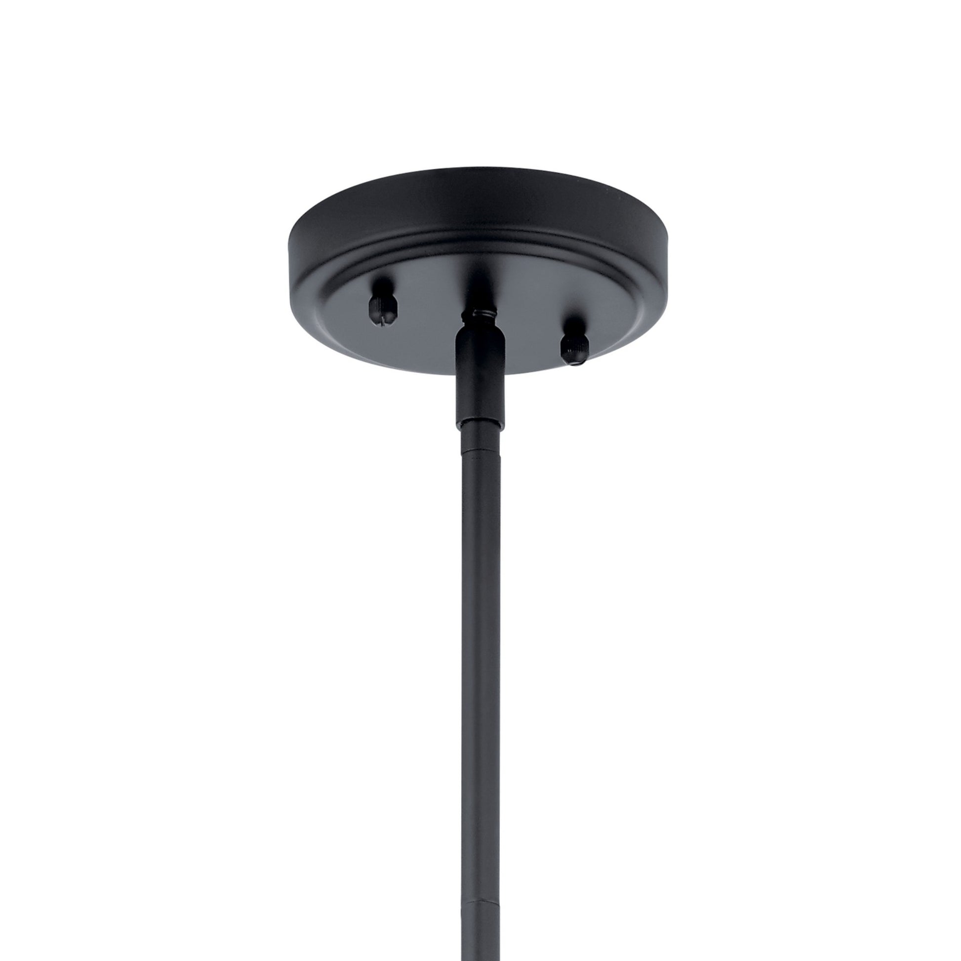 Everly 11" Pendant, Black Finish, Clear Glass - Bees Lighting
