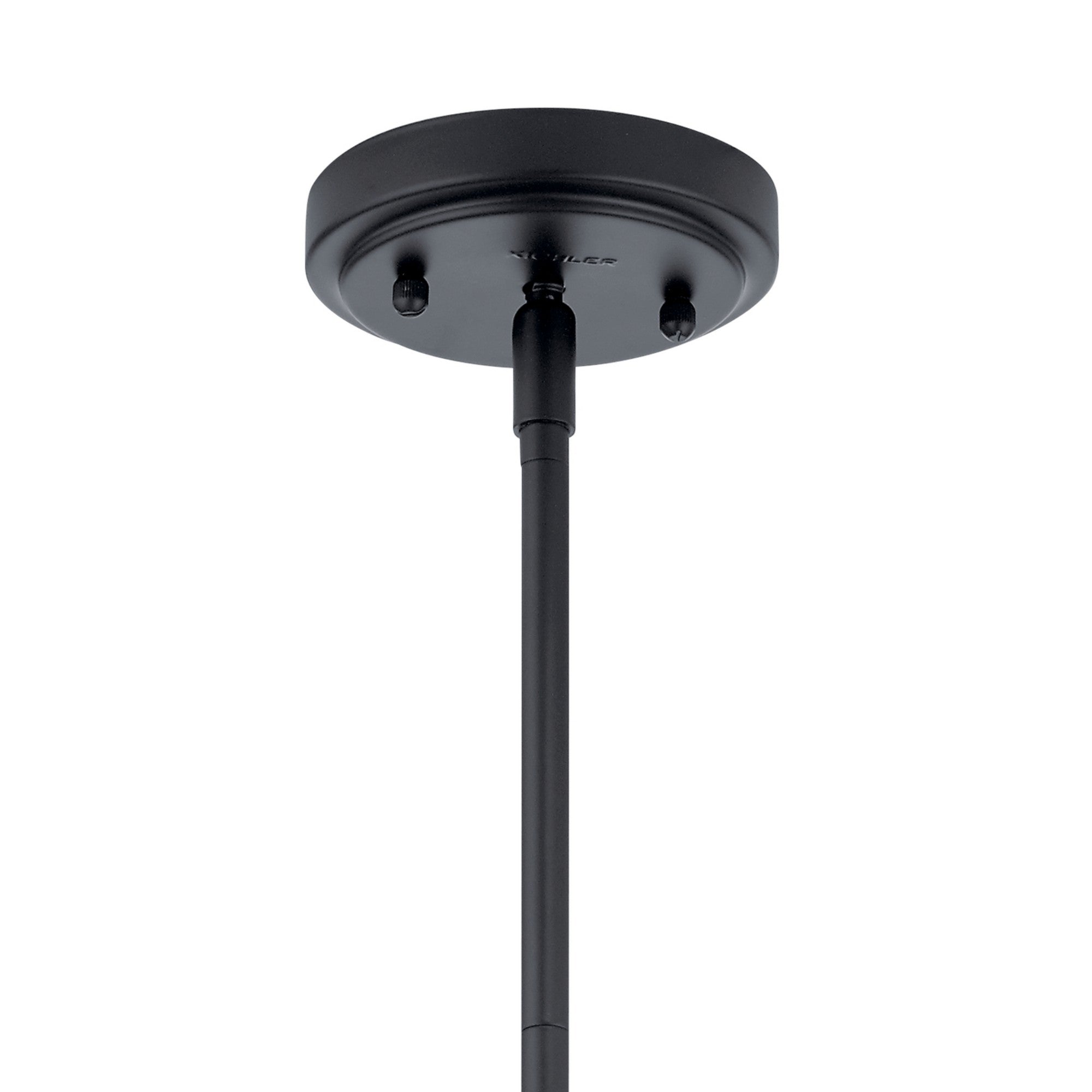 Everly 7" Pendant, Black Finish, Clear Glass - Bees Lighting