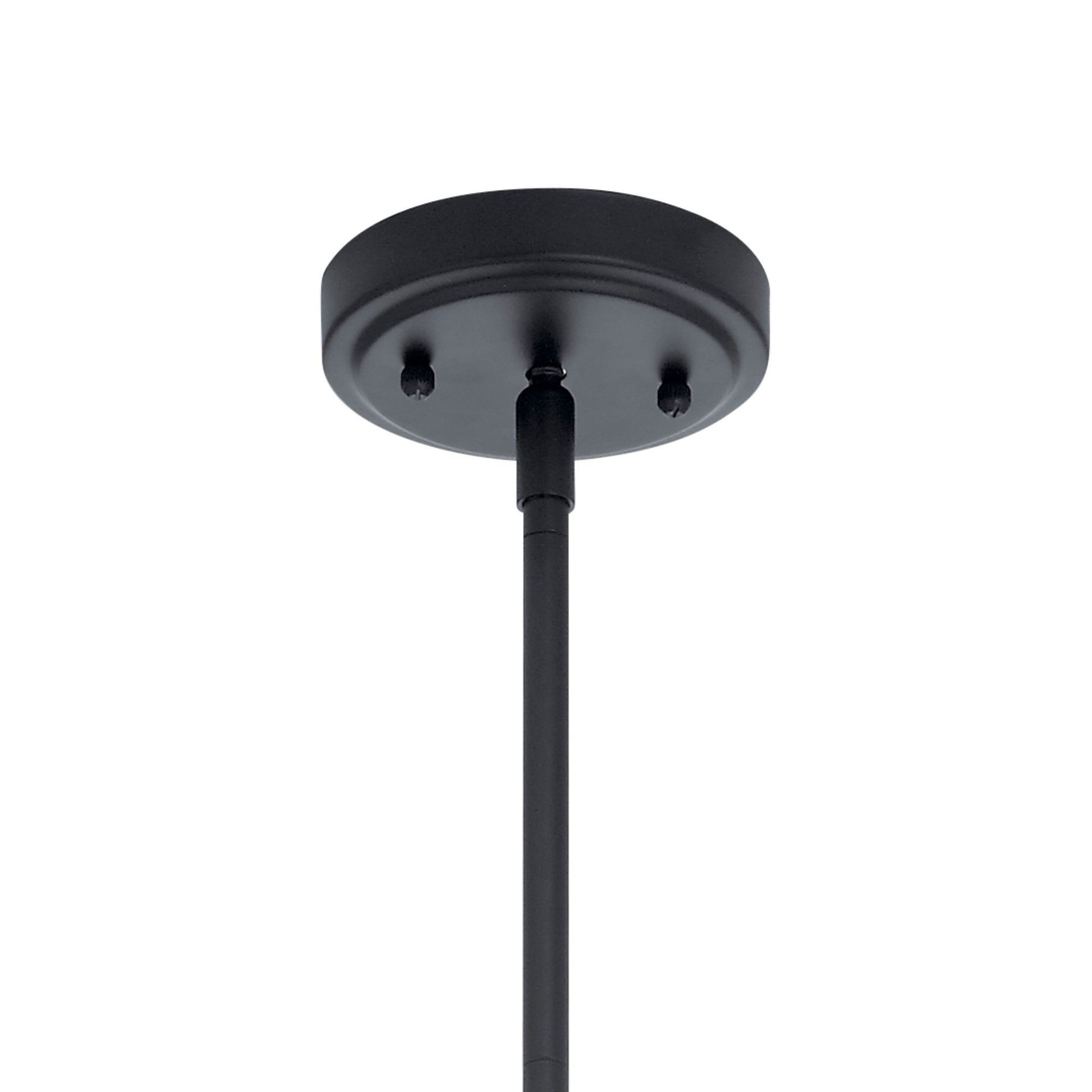 Lakum 10" Pendant, Black Finish - Bees Lighting