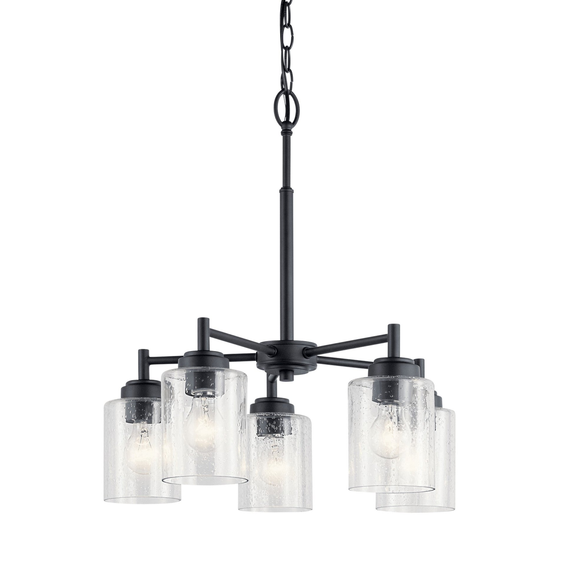 Winslow 20" 5-Light Chandelier, Black Finish - Bees Lighting