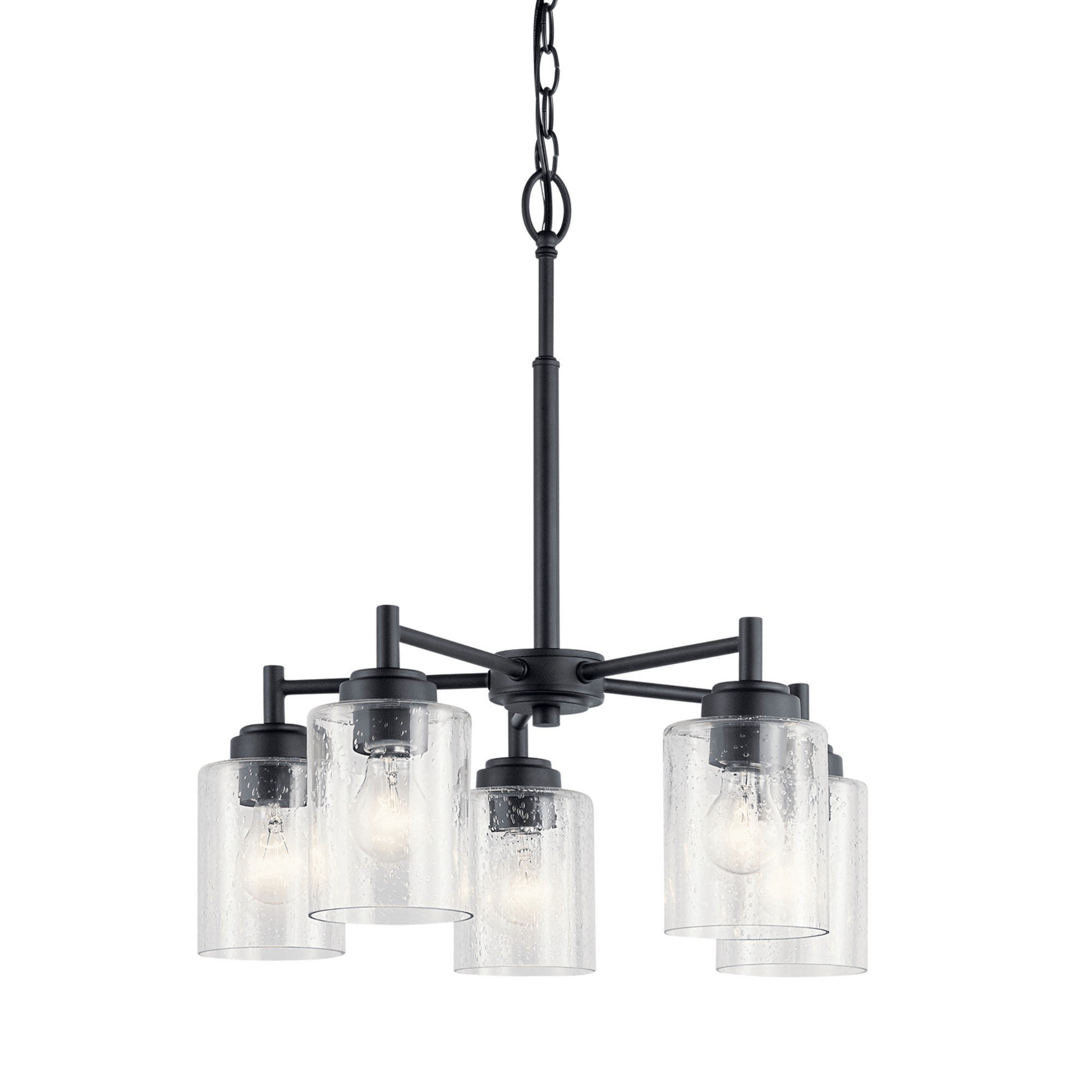 Winslow 20" 5-Light Chandelier, Black Finish - Bees Lighting