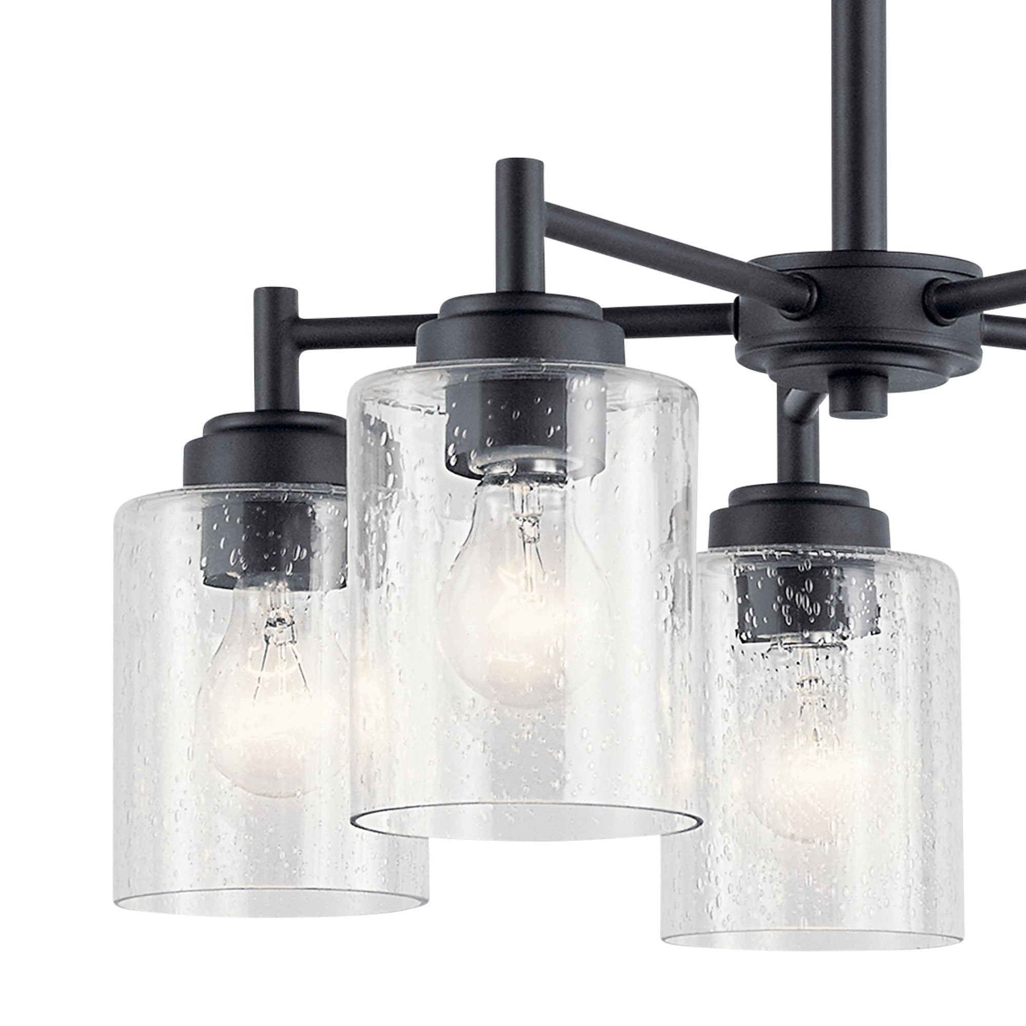 Winslow 20" 5-Light Chandelier, Black Finish - Bees Lighting