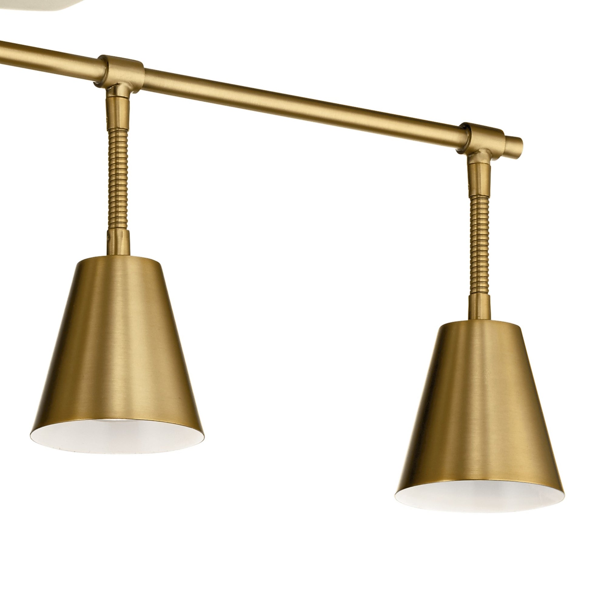 Sylvia 30" 4-Light Fixed Rail Light, Brushed Natural Brass Finishs - Bees Lighting
