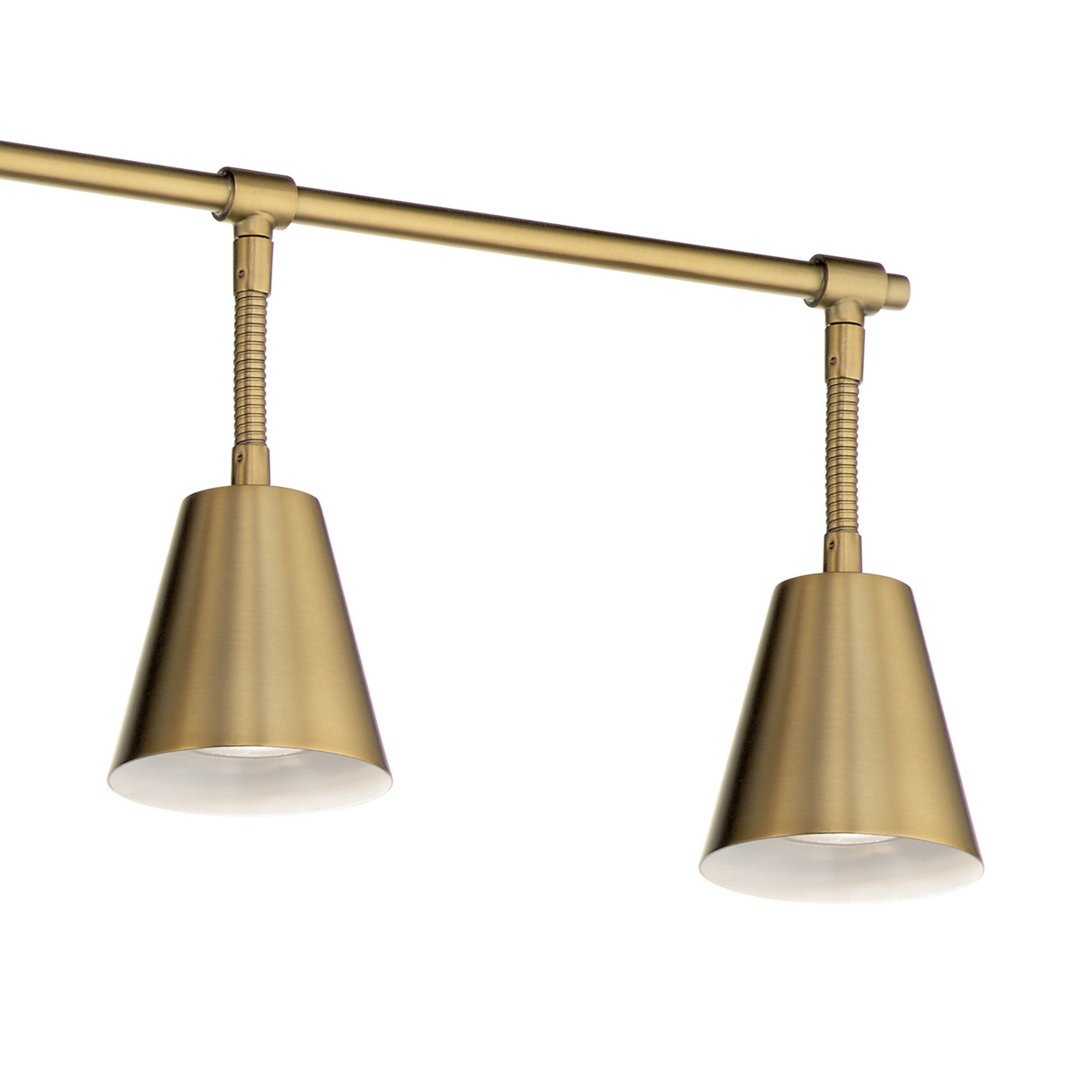 Sylvia 45" 6-Light Fixed Rail Light, Brushed Natural Brass Finish - Bees Lighting