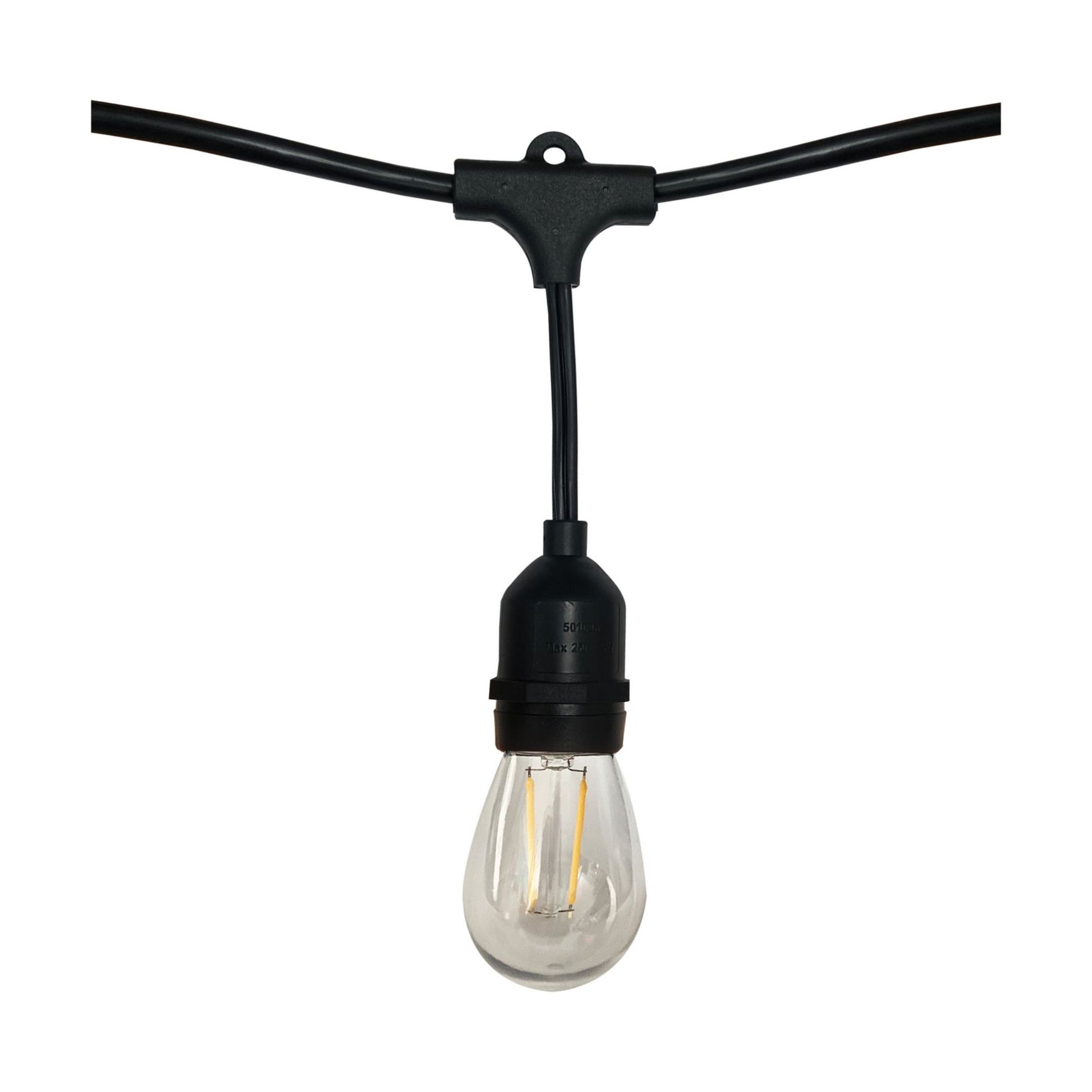 Indoor/Outdoor 24 Feet LED String Light, 12-LED Bulbs, 2700K - Bees Lighting
