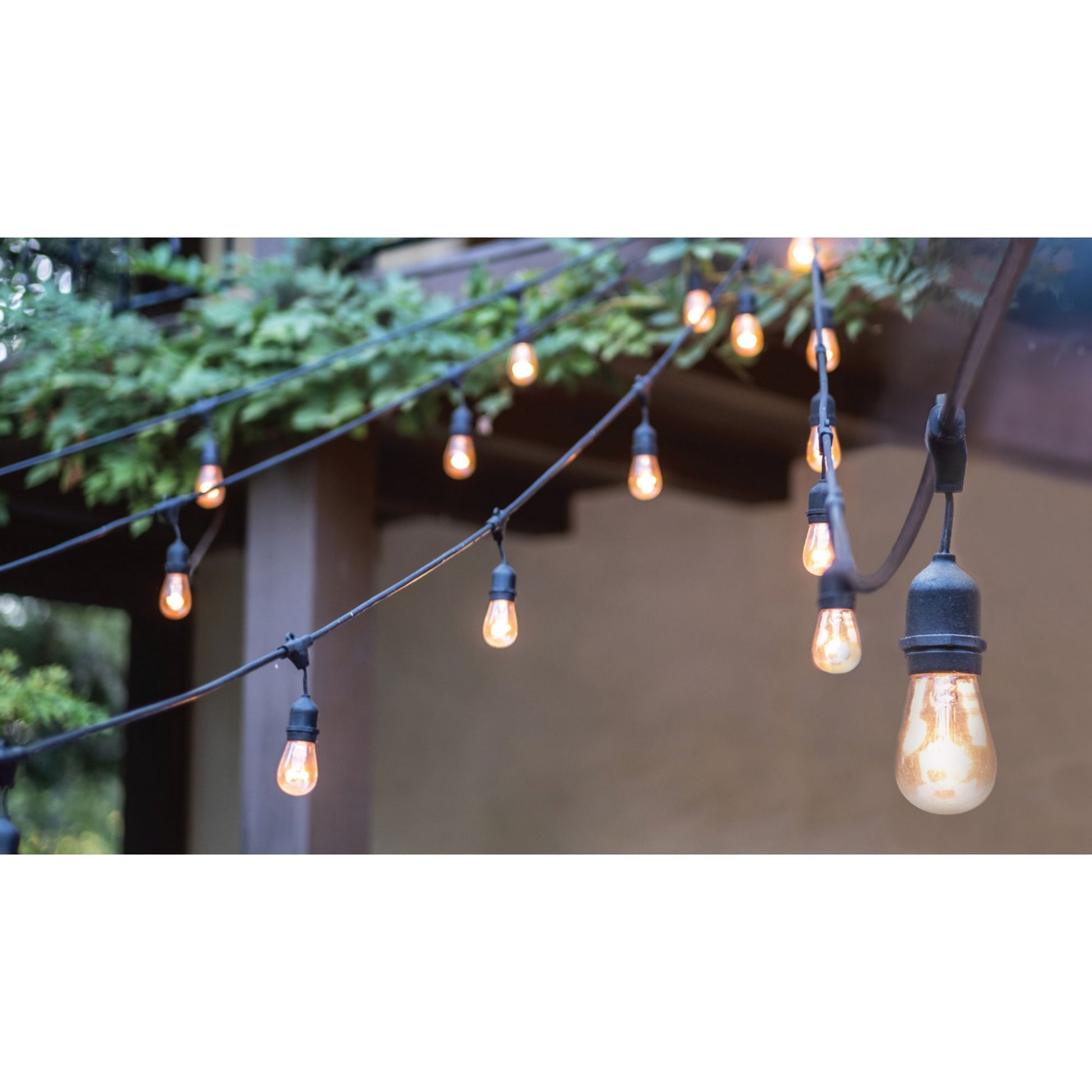 Indoor/Outdoor 24 Feet LED String Light, 12-LED Bulbs, 2700K - Bees Lighting