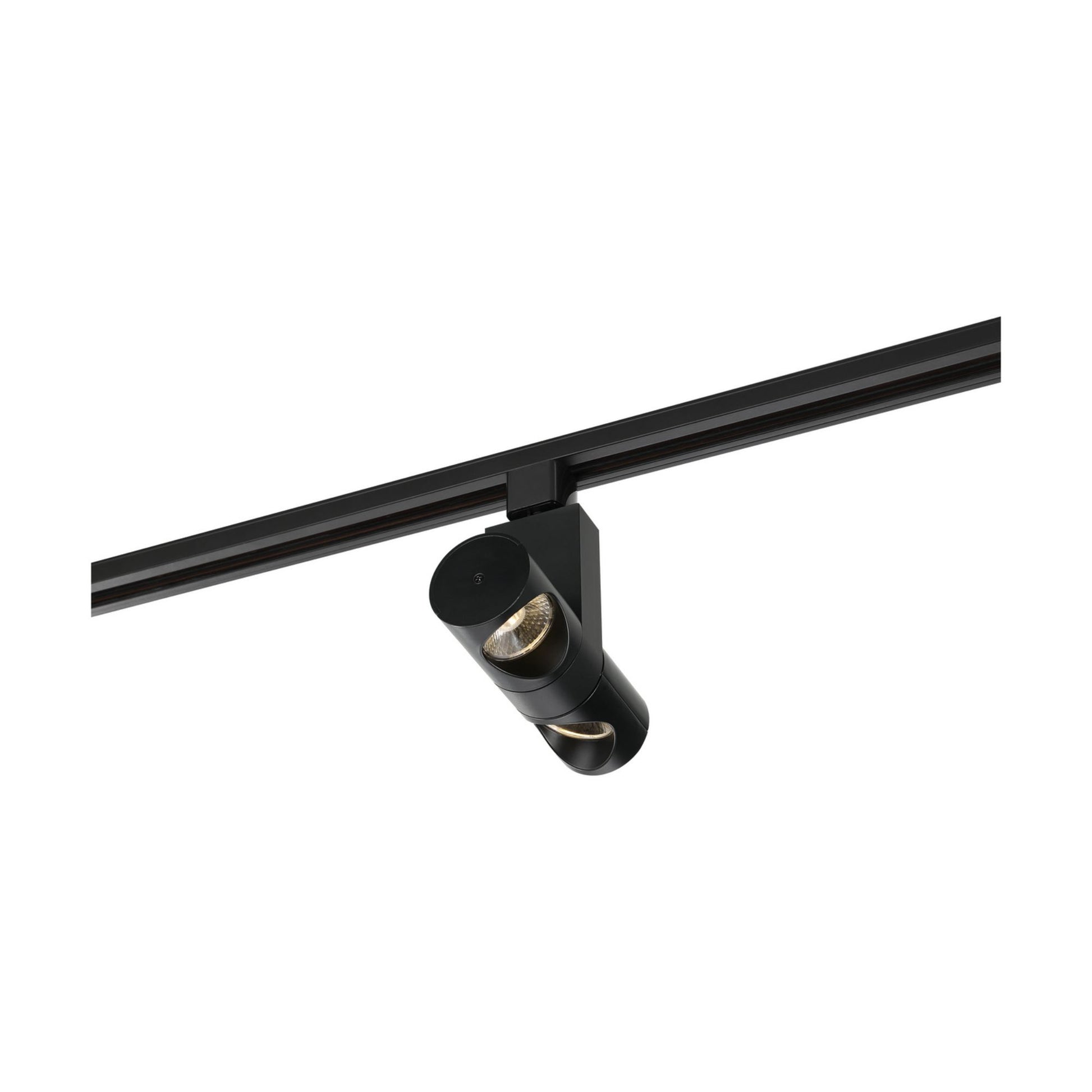 LED Dual Pipe Track Head 24W 2000 Lumens 3000K, Halo, 36°, Black - Bees Lighting