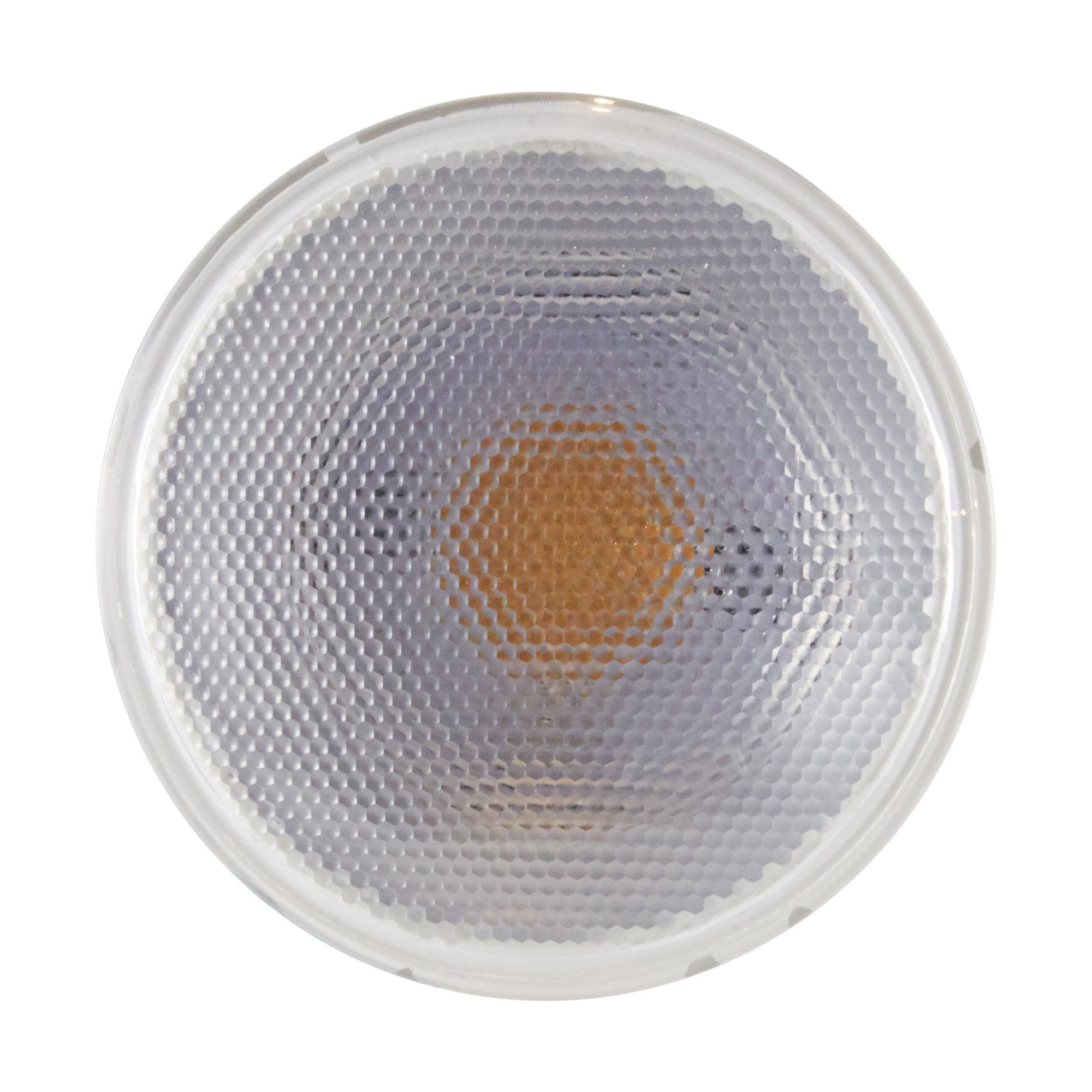 PAR30 Short Neck LED Bulb, 12 Watts, 1000 Lumens, 75W Equal, 4000K, E26 Base, 40° Flood - Bees Lighting