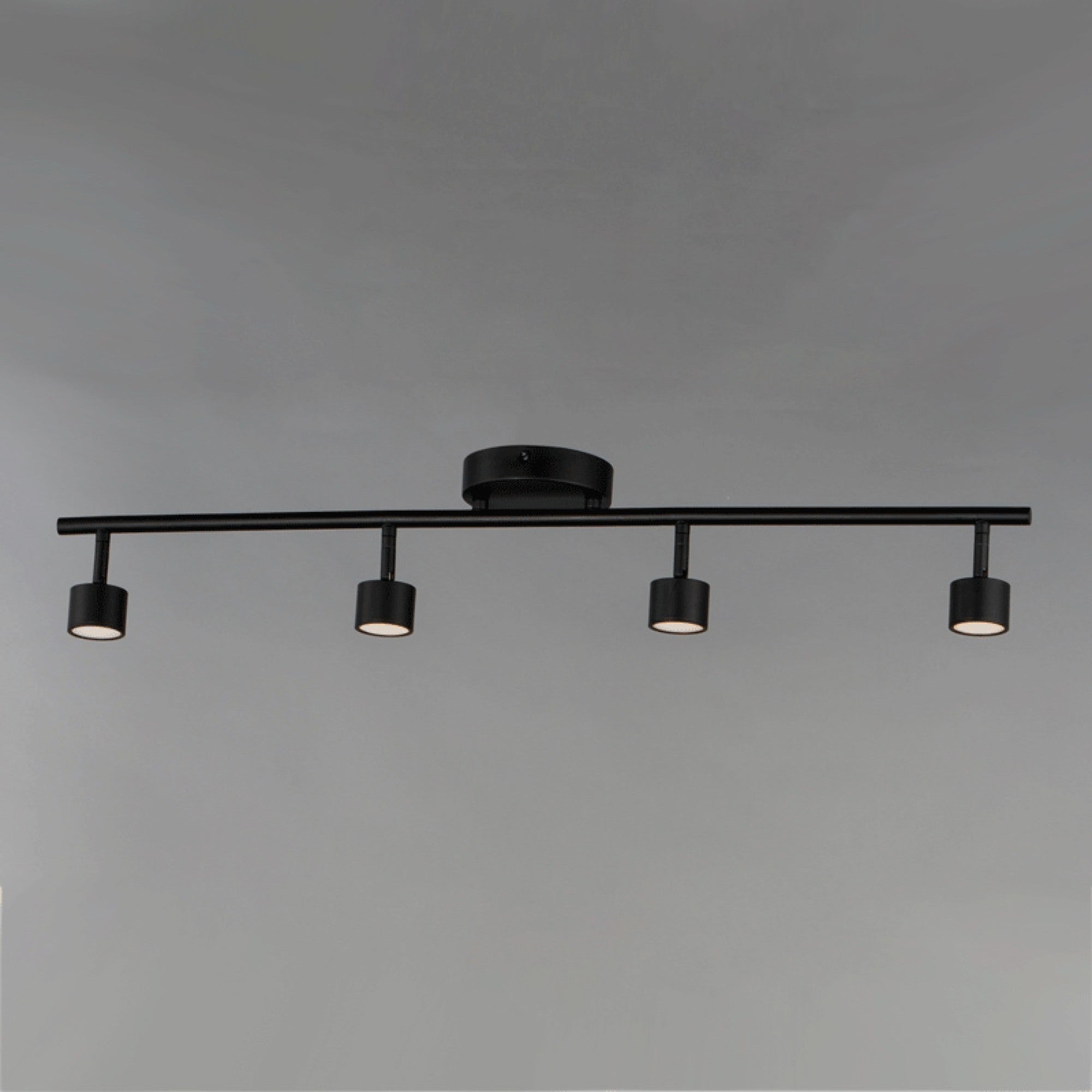 Taylor 34" LED Fixed Track Rail, Black Finish - Bees Lighting