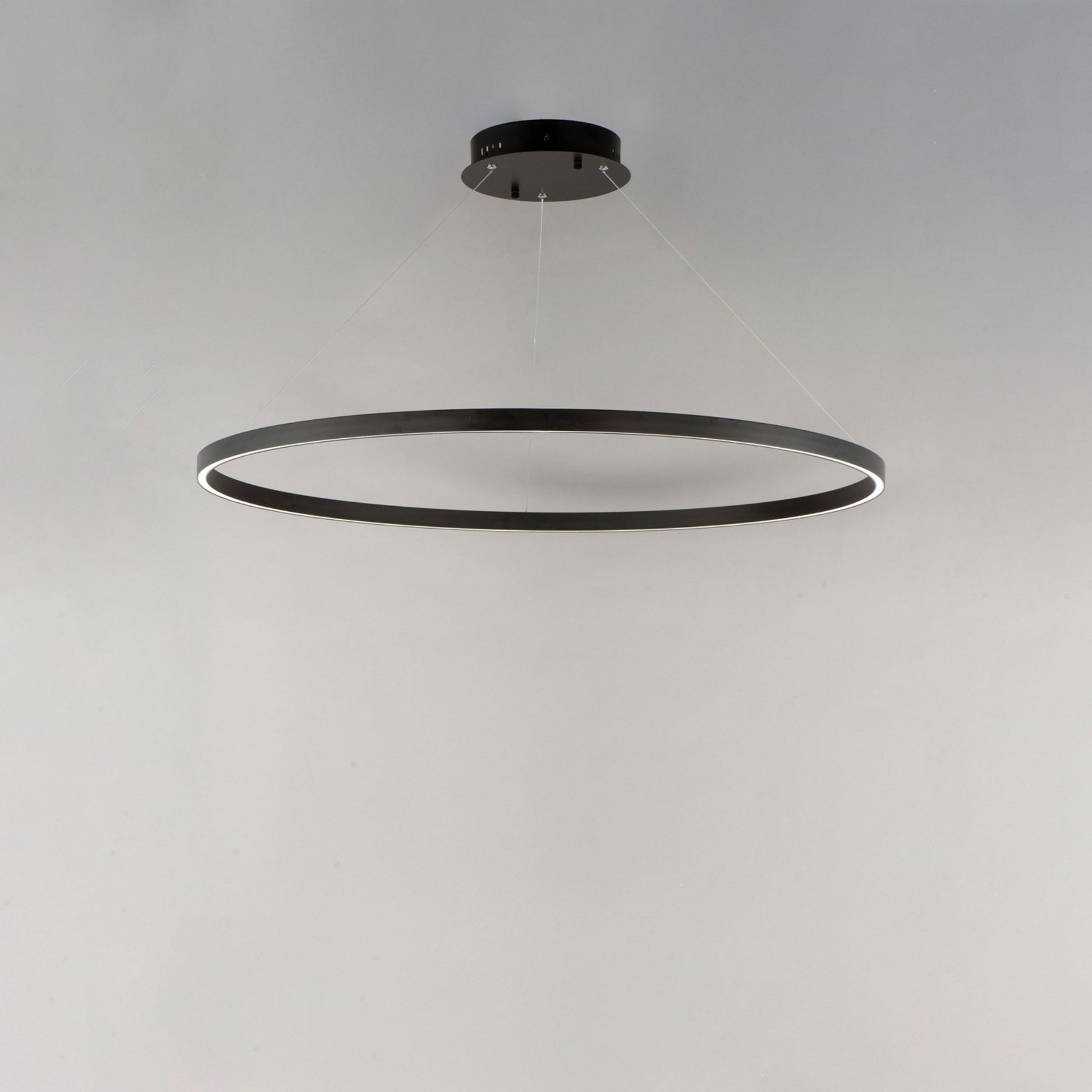 Groove WiZ 40" LED Pendant, Black Finish - Bees Lighting