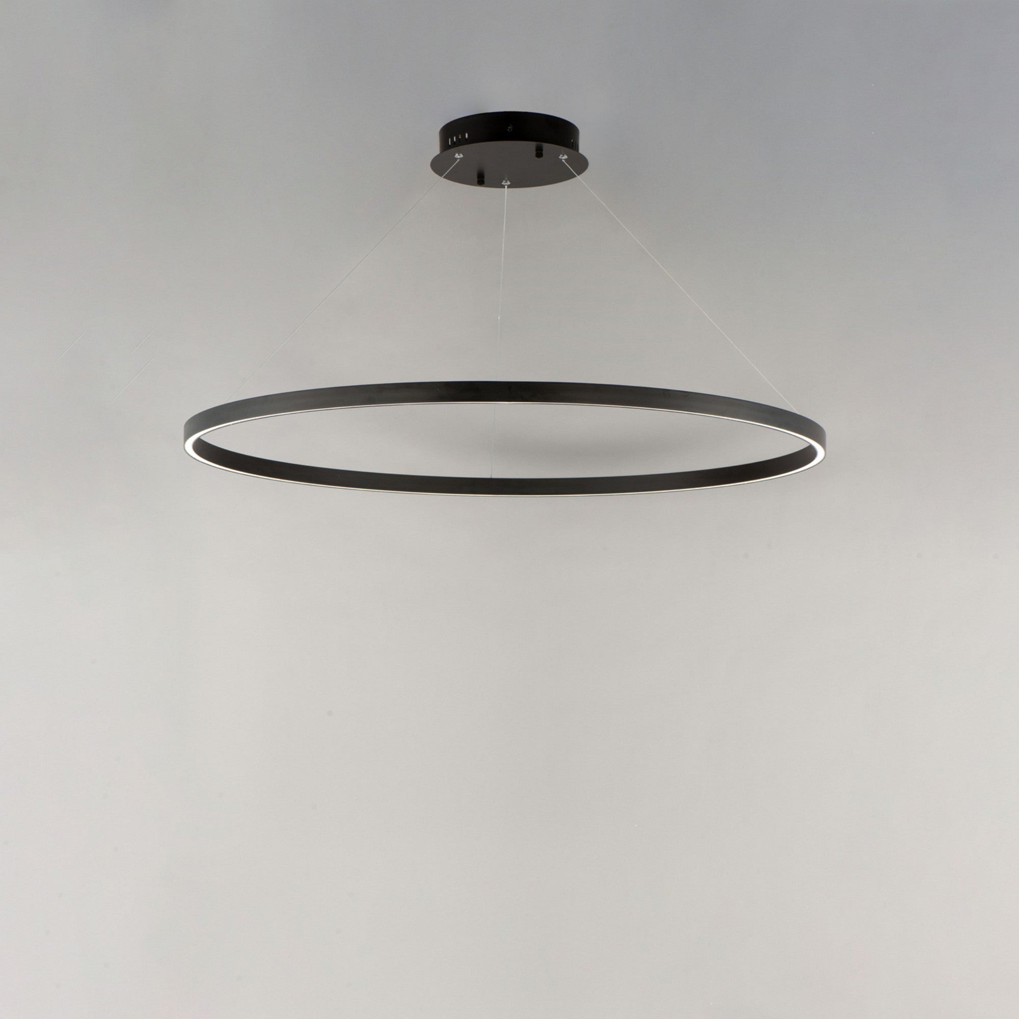Groove WiZ 40" LED Pendant, Black Finish - Bees Lighting