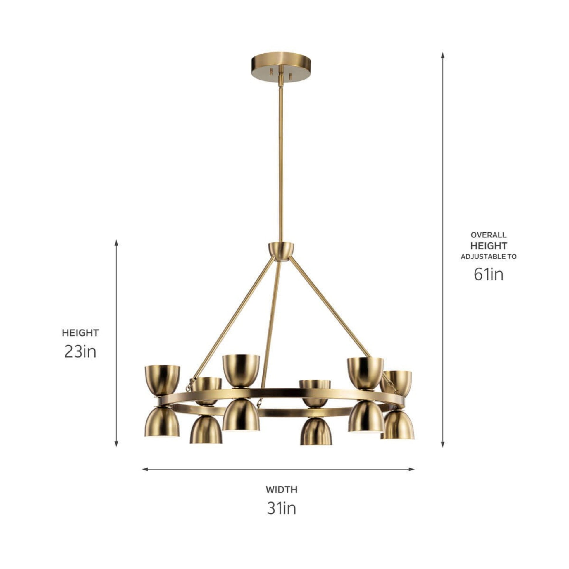 Baland 31" LED Chandelier, Brushed Natural Brass Finish - Bees Lighting