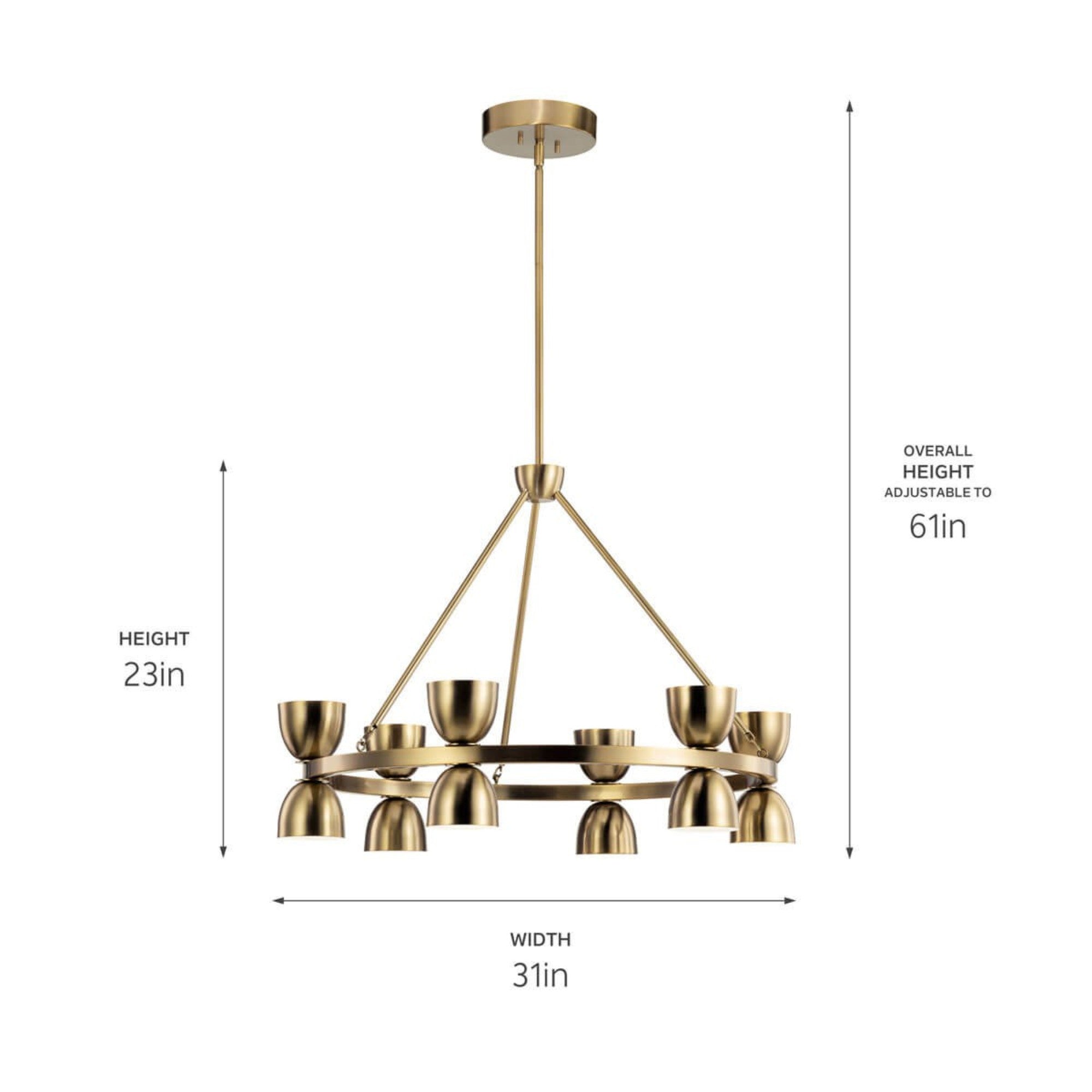 Baland 31" LED Chandelier, Brushed Natural Brass Finish - Bees Lighting