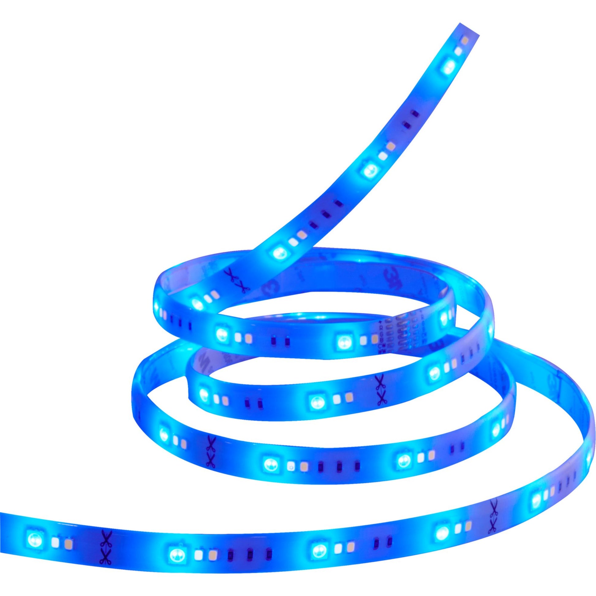 Starfish Wifi Smart LED Strip Light 3Ft Extension, Color Changing RGB + Tunable White, 12V - Bees Lighting