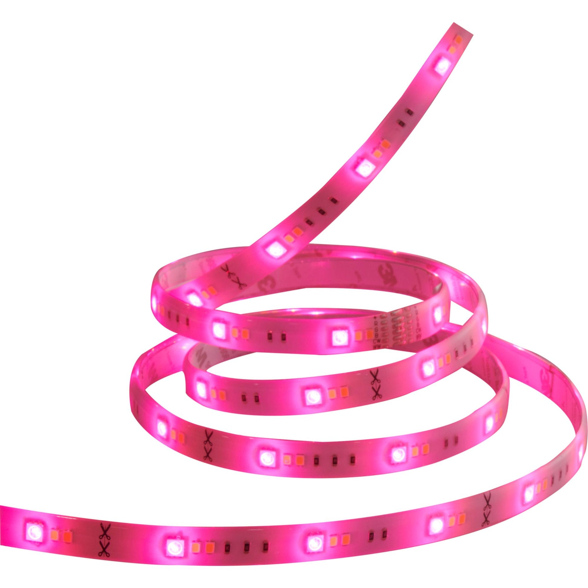Starfish Wifi Smart LED Strip Light 3Ft Extension, Color Changing RGB + Tunable White, 12V - Bees Lighting