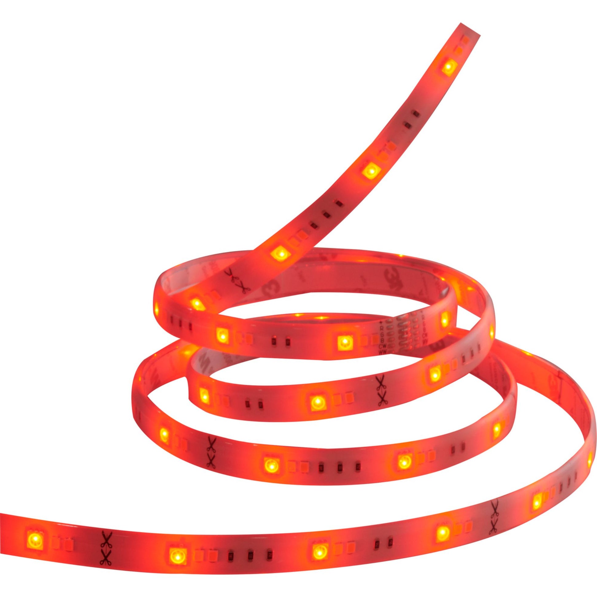 Starfish Wifi Smart LED Strip Light 3Ft Extension, Color Changing RGB + Tunable White, 12V - Bees Lighting