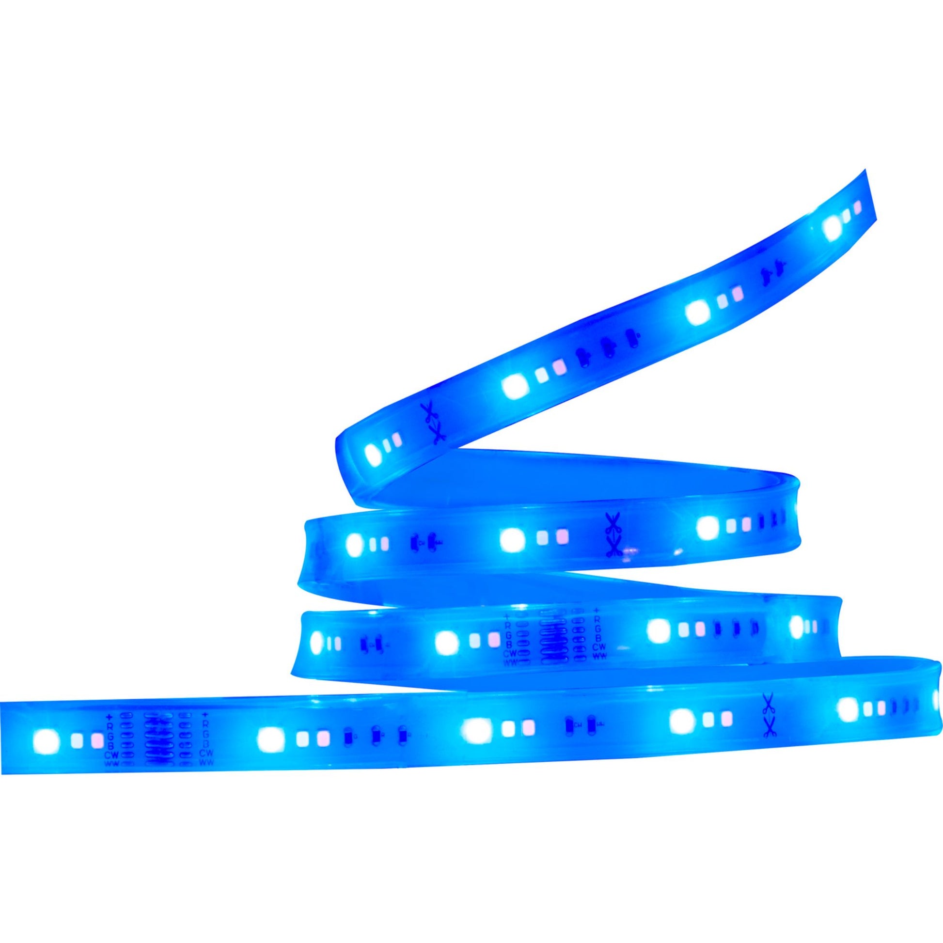 Starfish Wifi Smart Outdoor LED Strip Light kit, 16Ft Reel, RGBTW, 12V - Bees Lighting
