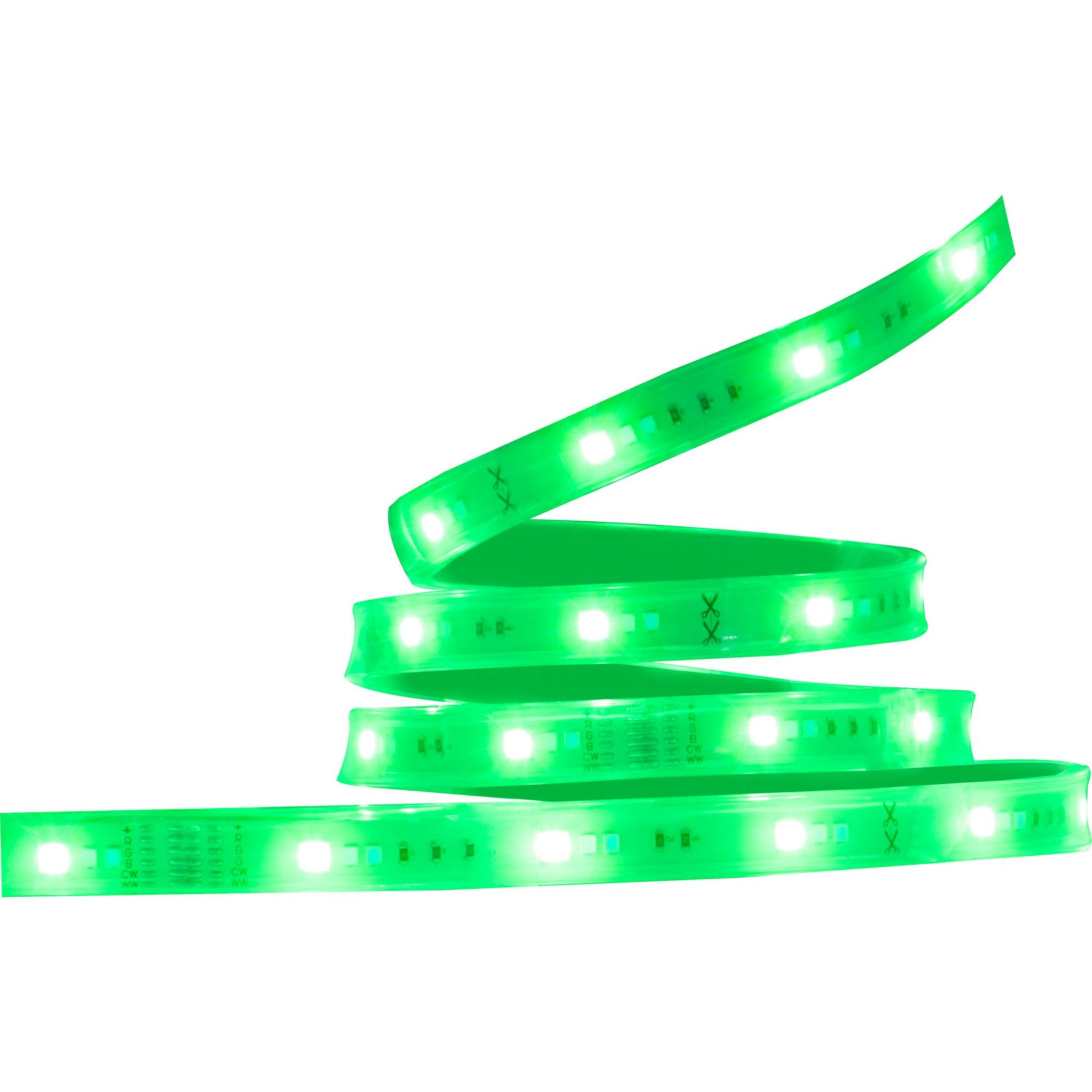 Starfish Wifi Smart Outdoor LED Strip Light kit, 16Ft Reel, RGBTW, 12V - Bees Lighting