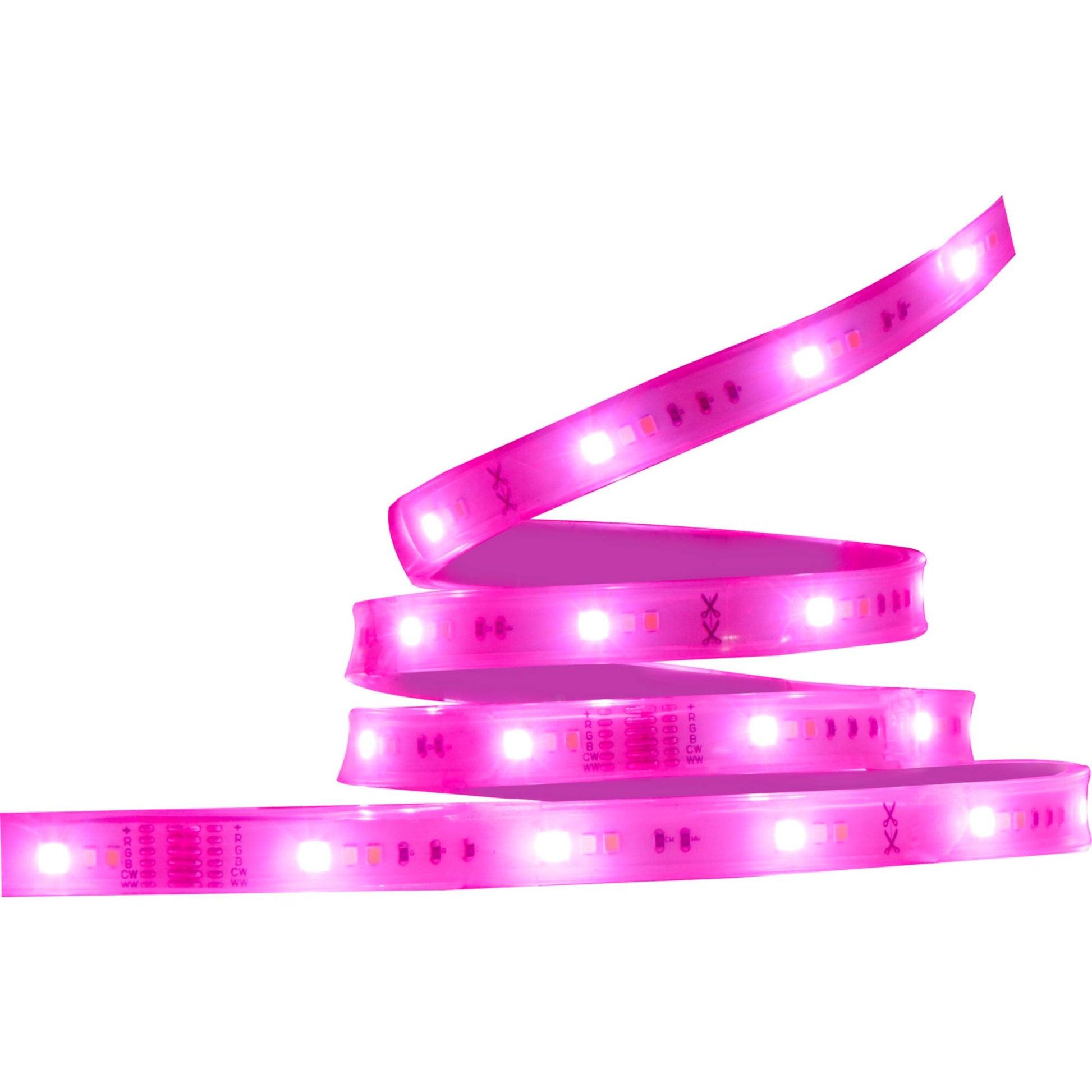 Starfish Wifi Smart Outdoor LED Strip Light kit, 16Ft Reel, RGBTW, 12V - Bees Lighting