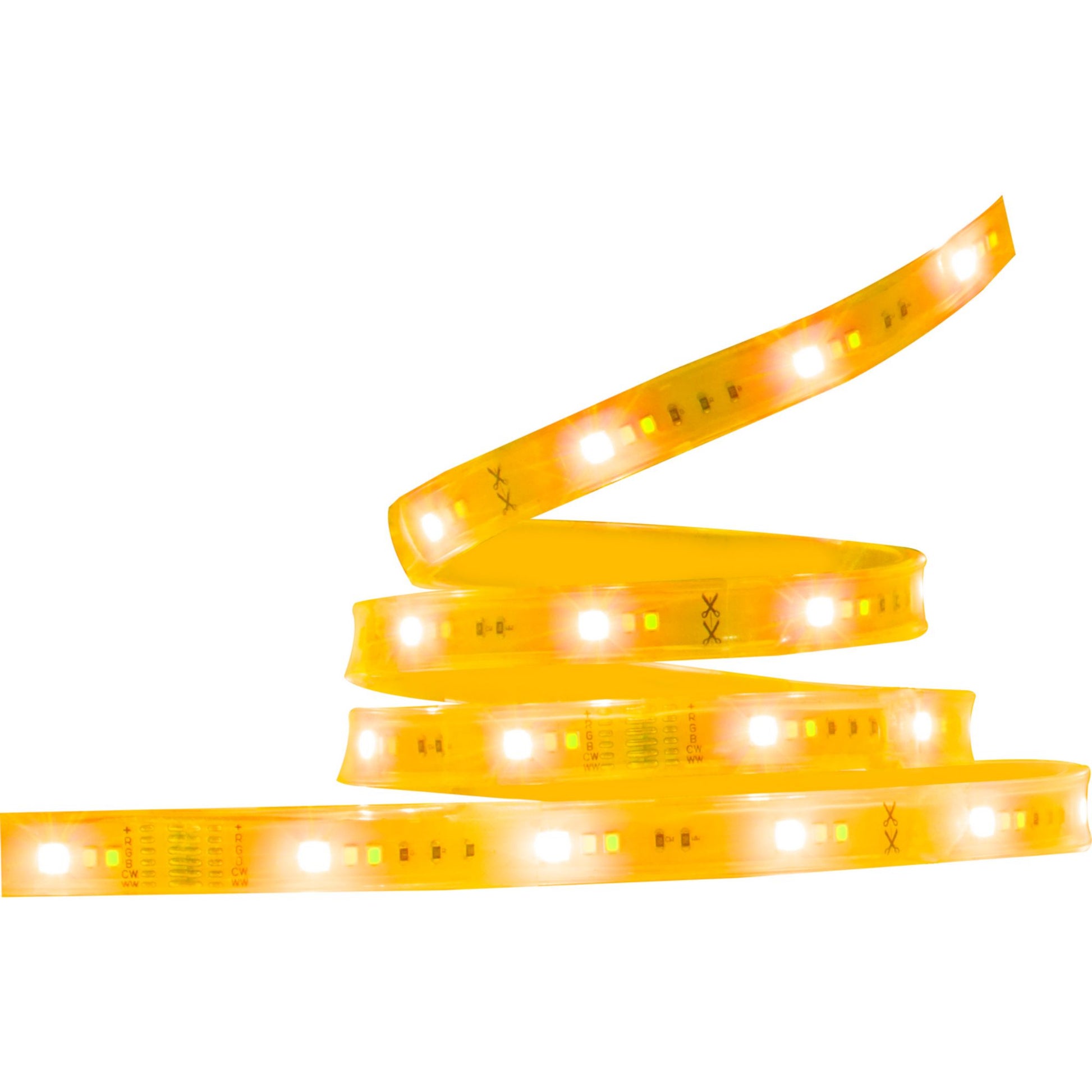 Starfish Wifi Smart Outdoor LED Strip Light kit, 16Ft Reel, RGBTW, 12V - Bees Lighting