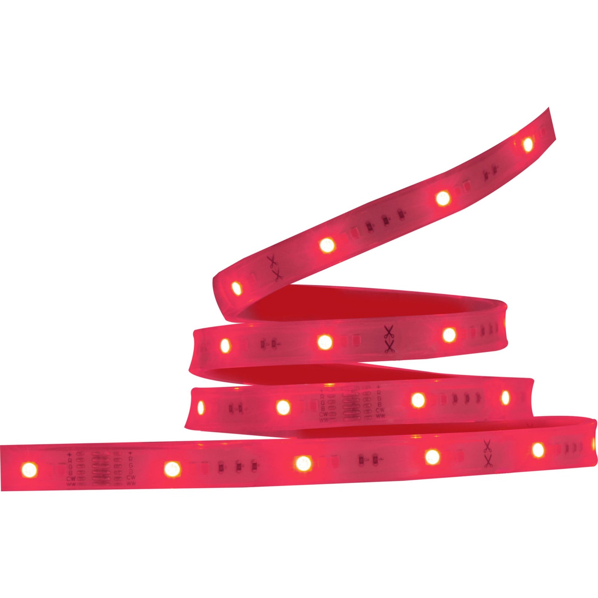 Starfish Wifi Smart Outdoor LED Strip Light kit, 16Ft Reel, RGBTW, 12V - Bees Lighting