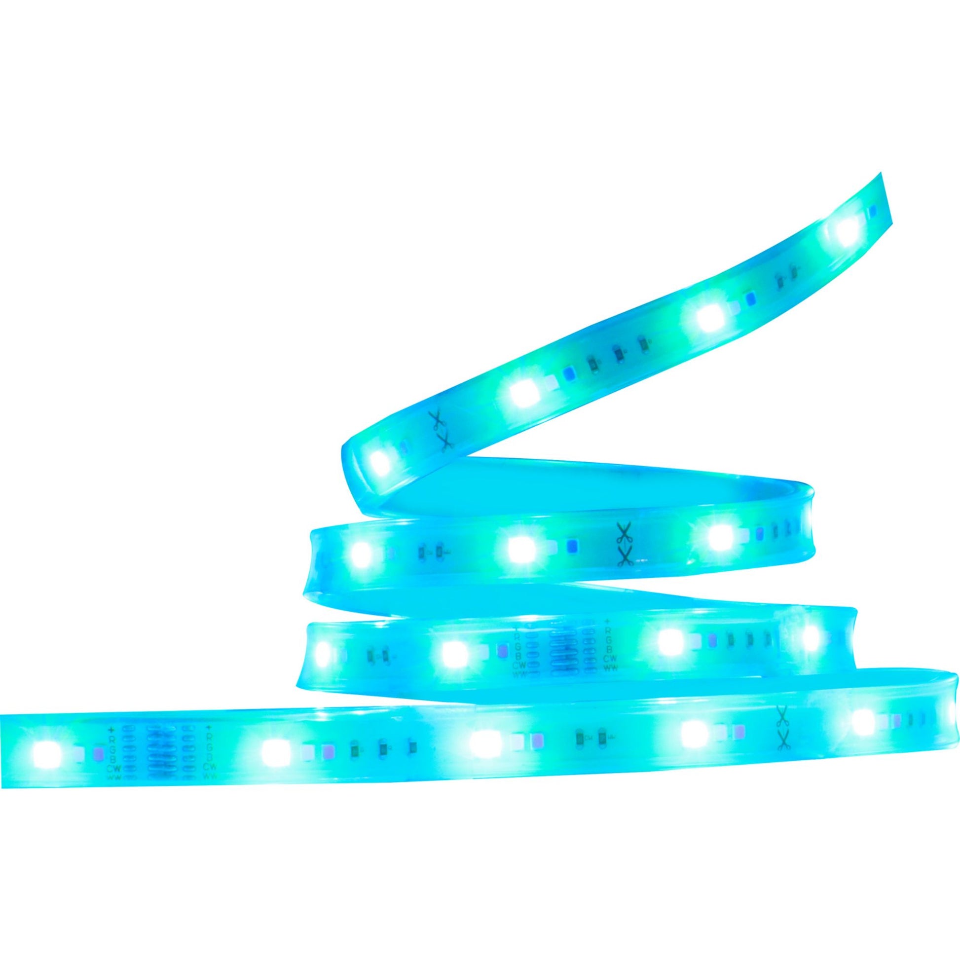 Starfish Wifi Smart Outdoor LED Strip Light kit, 16Ft Reel, RGBTW, 12V - Bees Lighting