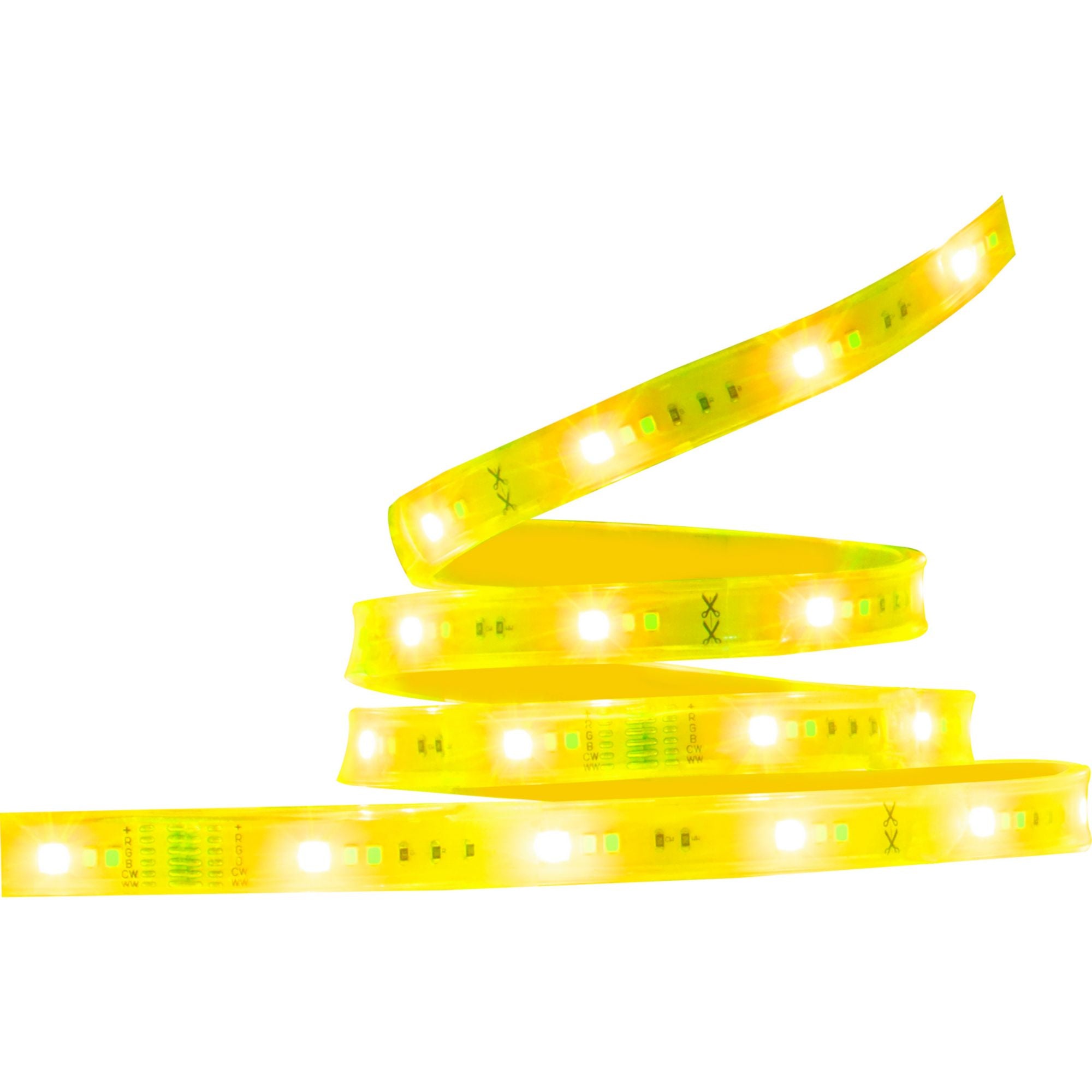 Starfish Wifi Smart Outdoor LED Strip Light kit, 16Ft Reel, RGBTW, 12V - Bees Lighting