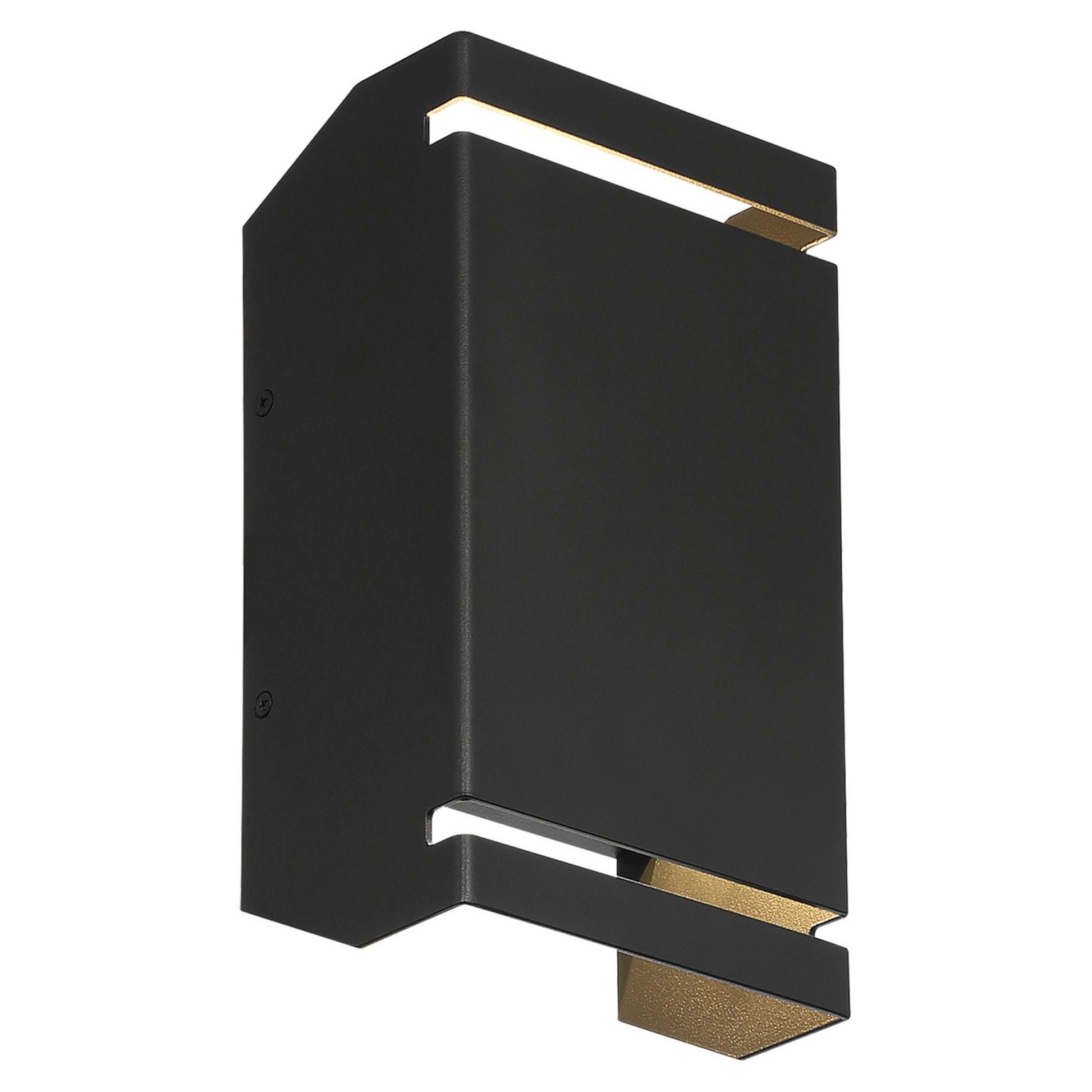 La Vida 10" LED Outdoor Wall Sconce, Black Finish - Bees Lighting