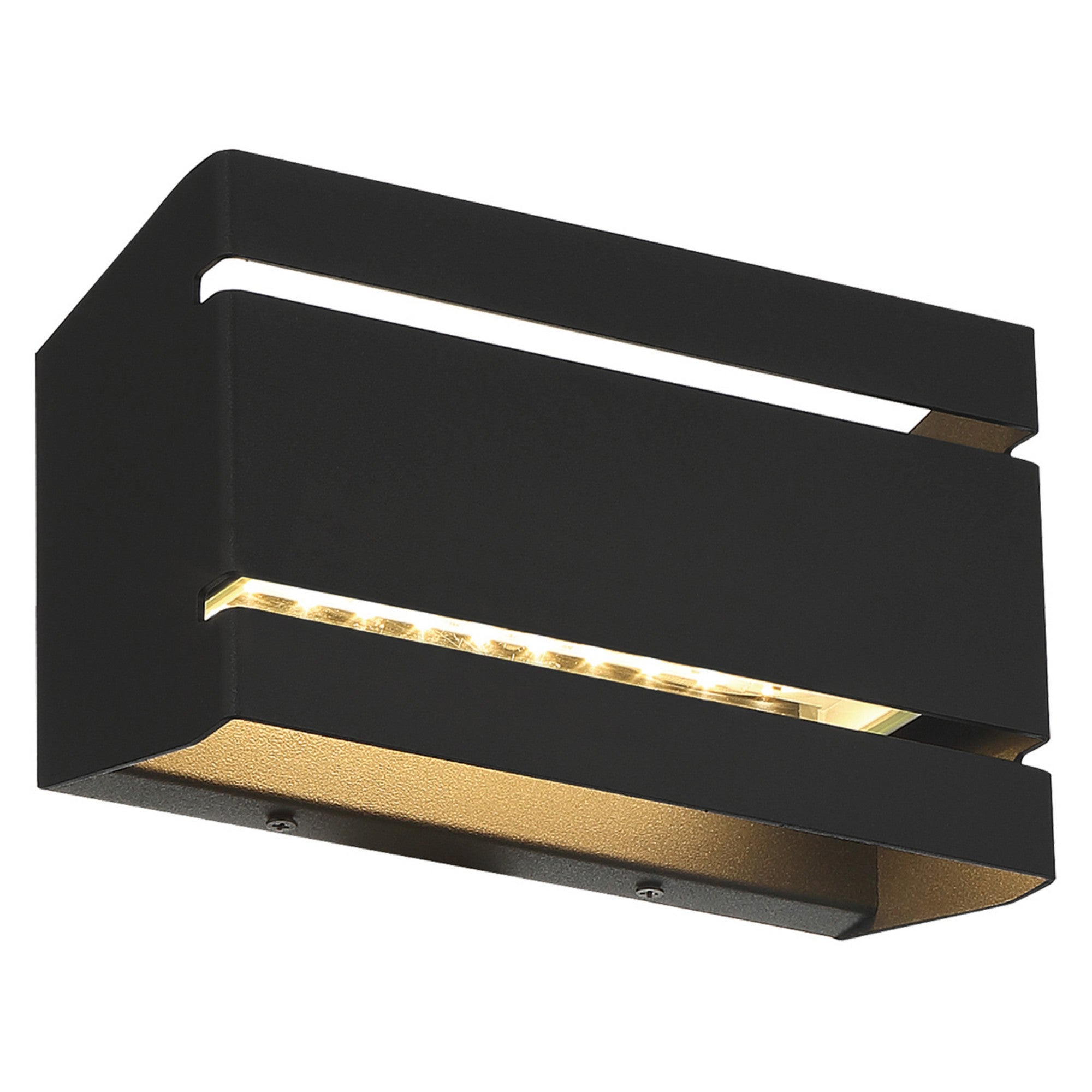 La Vida 9" LED Outdoor Wall Sconce, Black Finish - Bees Lighting