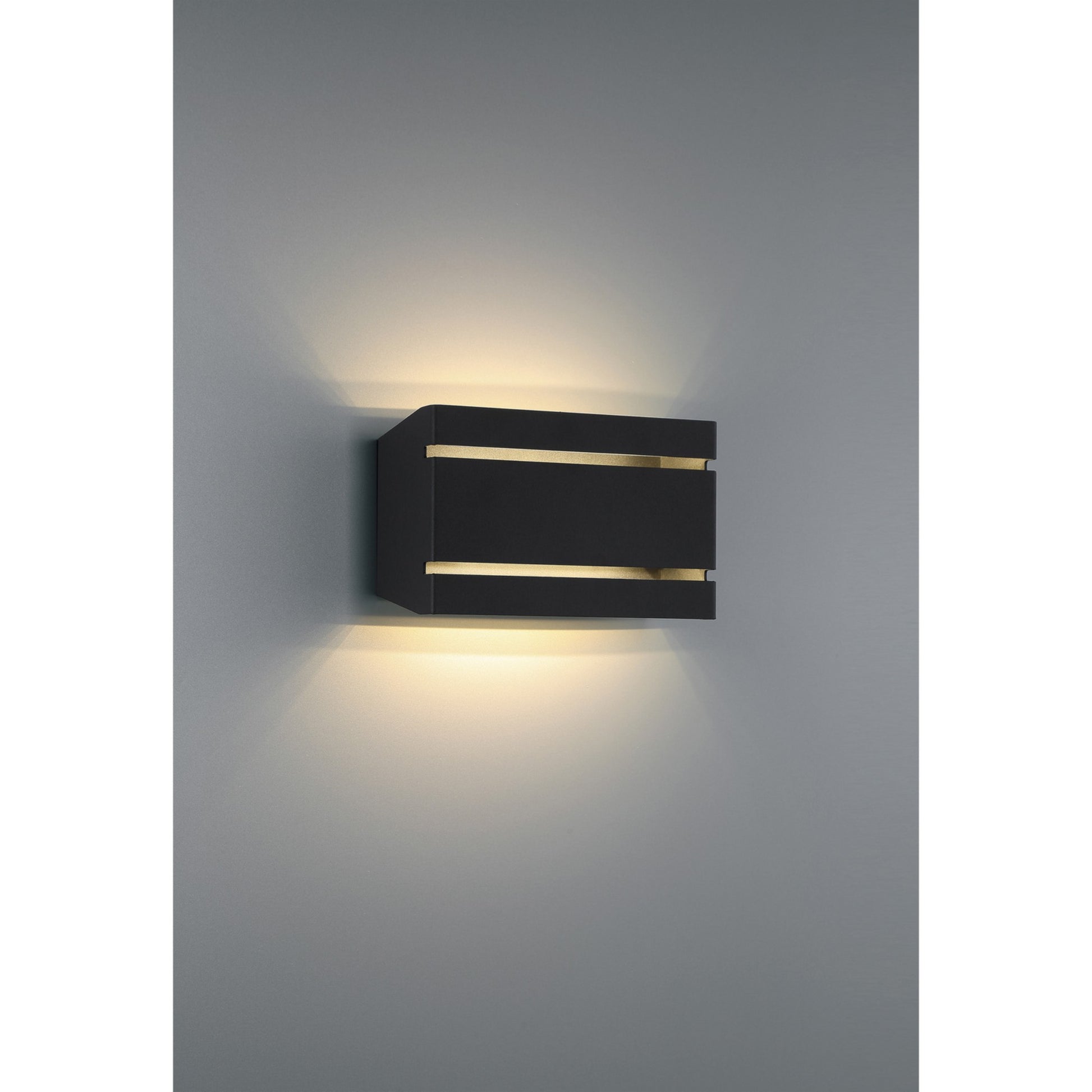 La Vida 9" LED Outdoor Wall Sconce, Black Finish - Bees Lighting