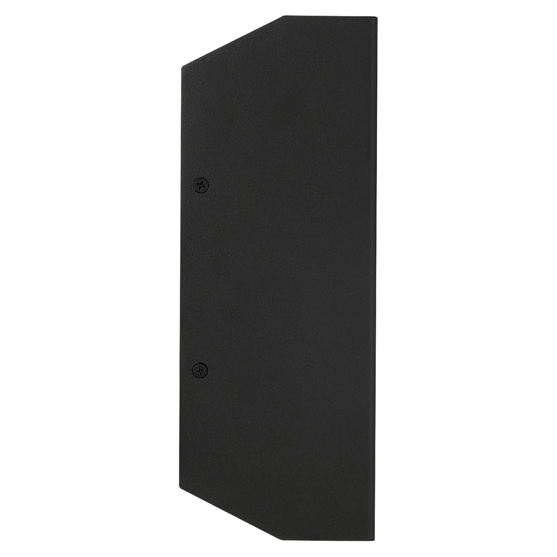 Amora 10"H LED Outdoor Wall Sconce, Black Finish - Bees Lighting