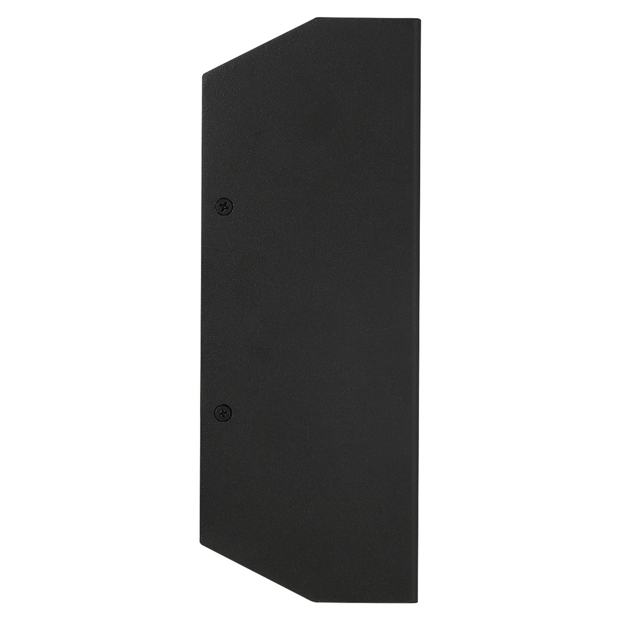 Amora 10"H LED Outdoor Wall Sconce, Black Finish - Bees Lighting